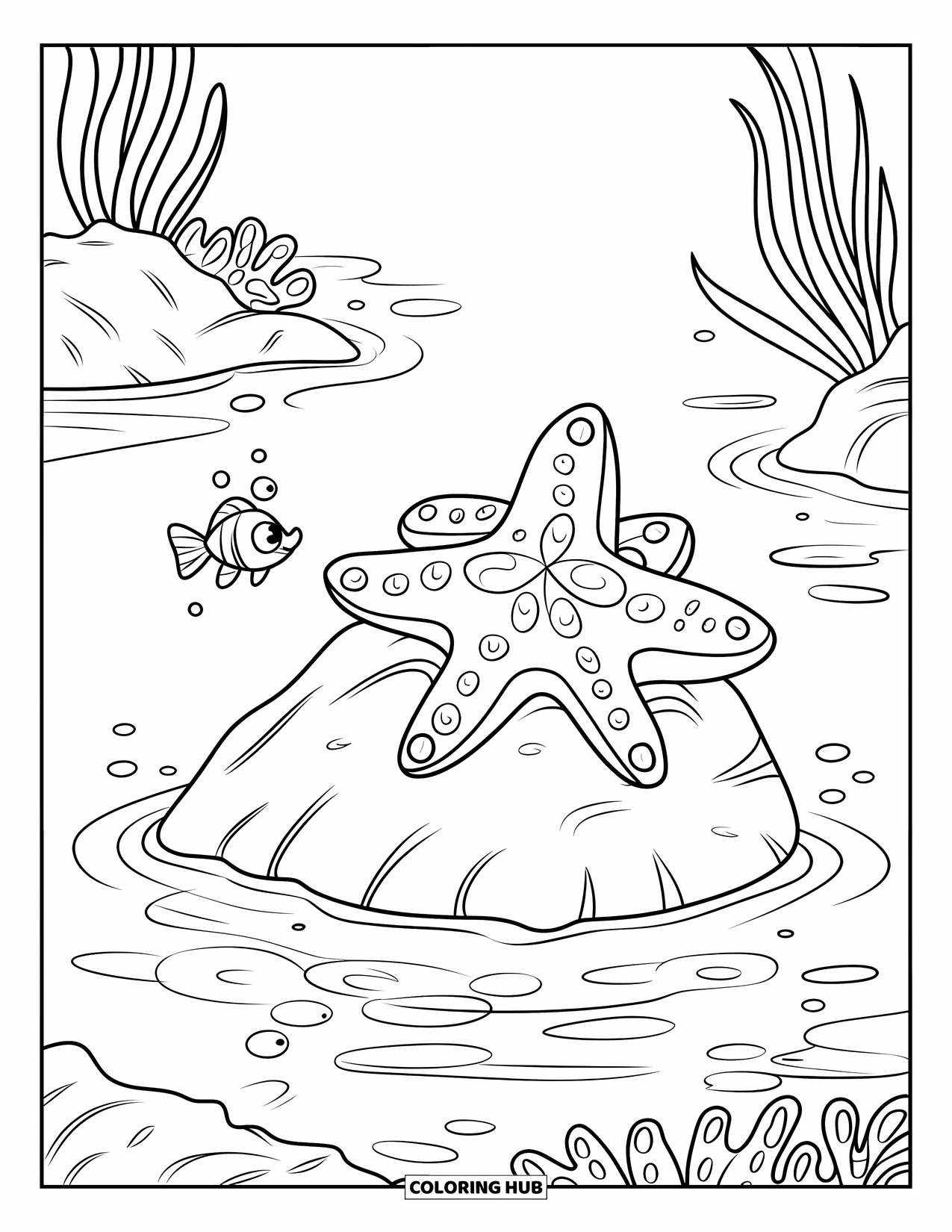 Kolorowanka ze zwierzętami oceanicznymi dla dzieci: Rozgwiazda relaksuje się na skale, a w pobliżu pływa mała rybka