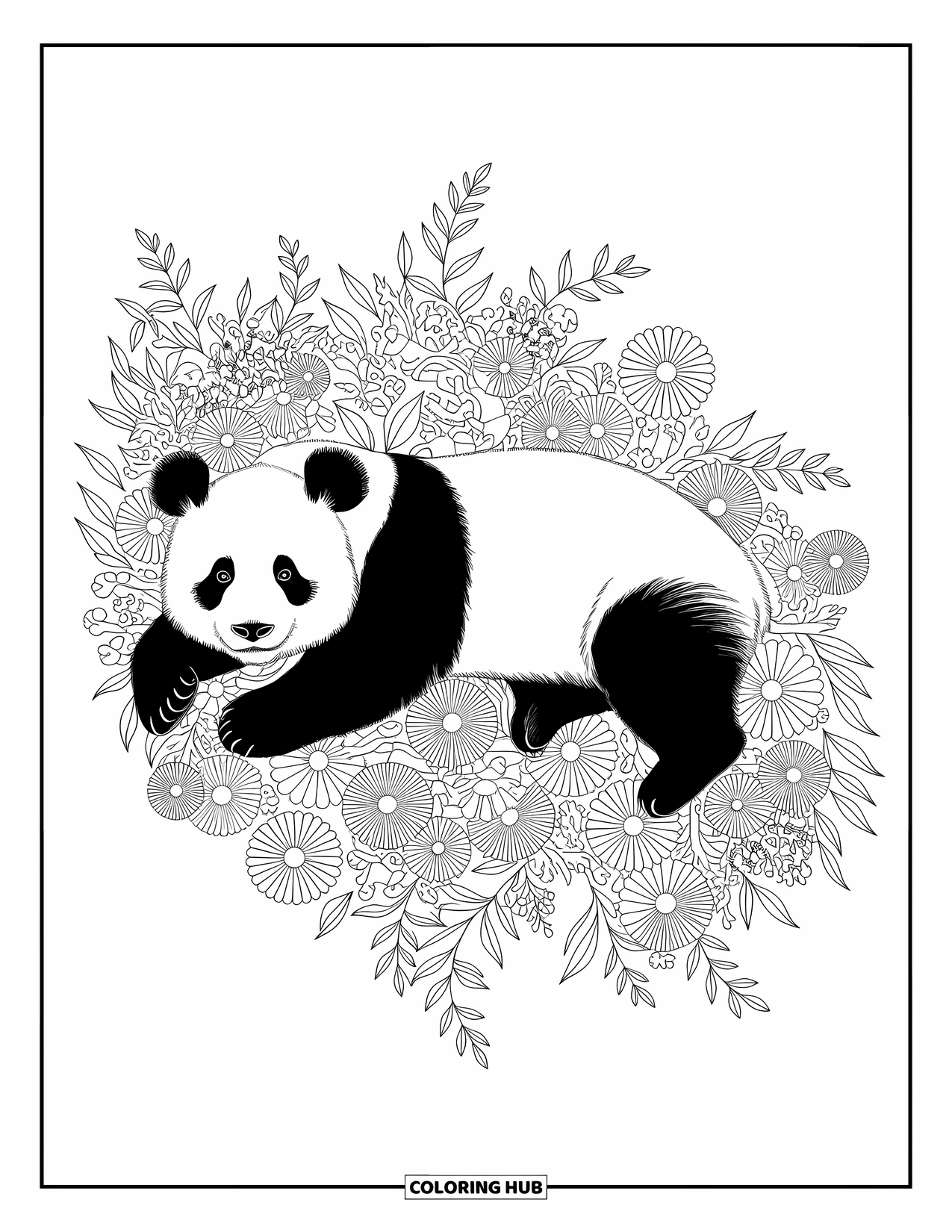 Disegno di panda da colorare per adulti: Un panda giace tra fiori e viti dettagliati, circondato da intricati motivi botanici