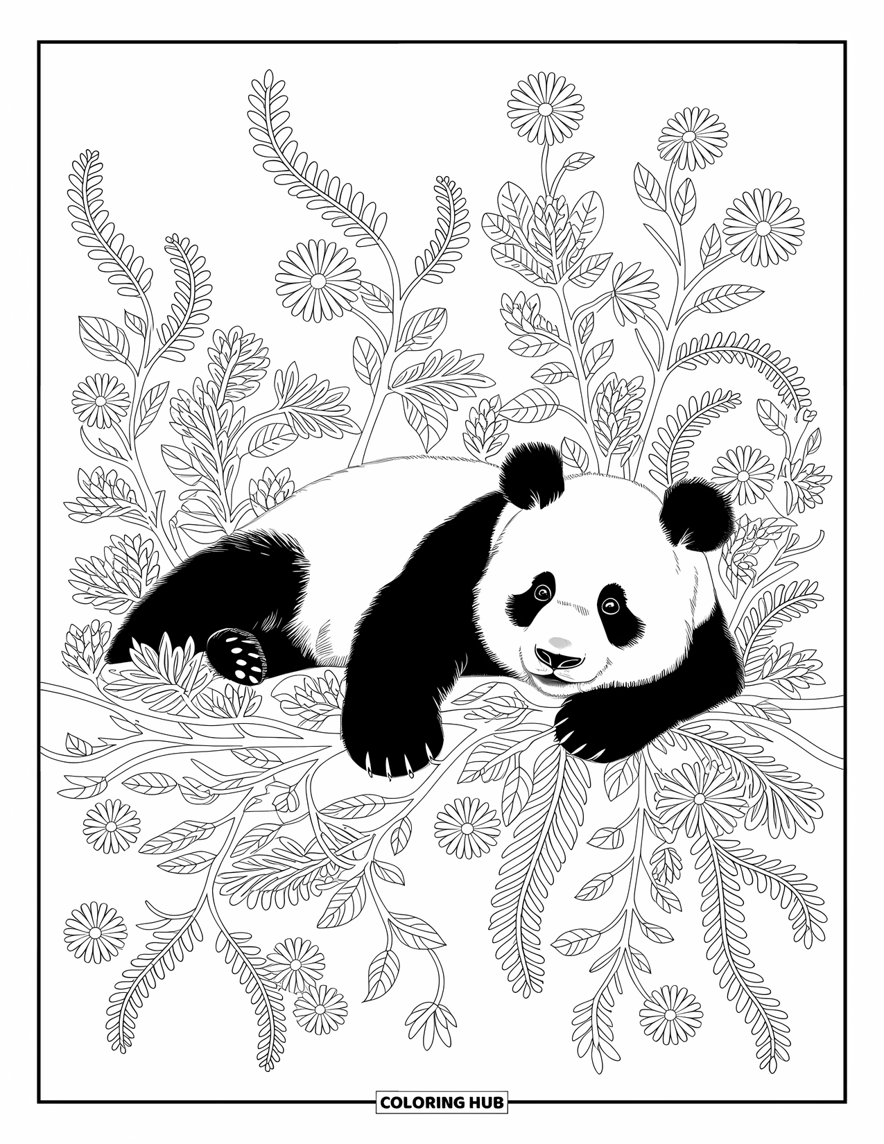 Disegno di panda da colorare per adulti: Un panda si rilassa tra fiori e viti vorticose, creando una composizione serena e dettagliata