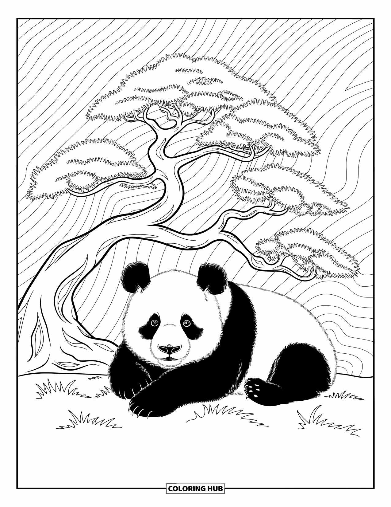 Disegno di panda da colorare per adulti: Un panda riposa pacificamente sotto un bonsai, circondato da delicate viti vorticose e motivi floreali