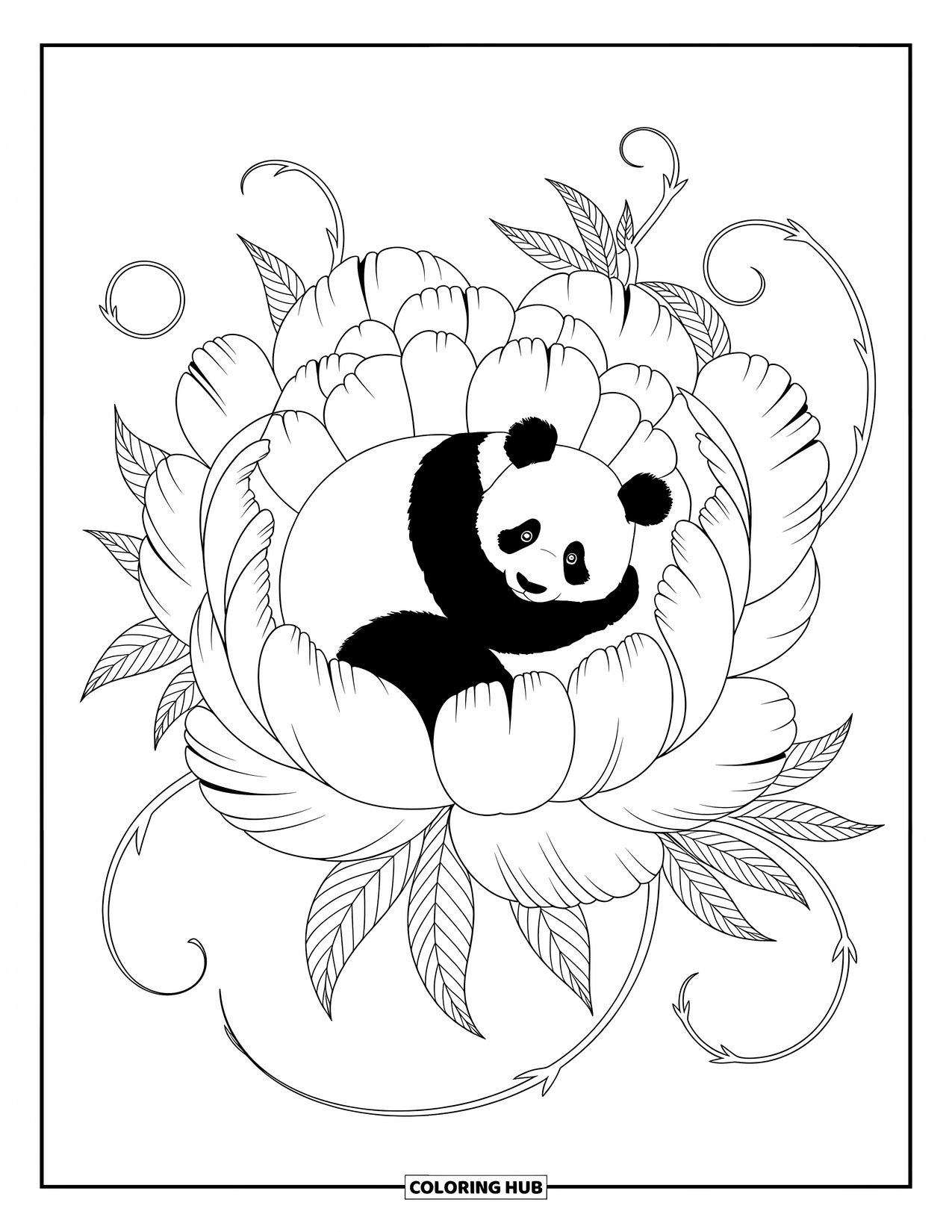 Disegno di panda da colorare per adulti: Un panda si rannicchia nel cuore di una peonia in fiore, avvolto in strati di petali morbidi