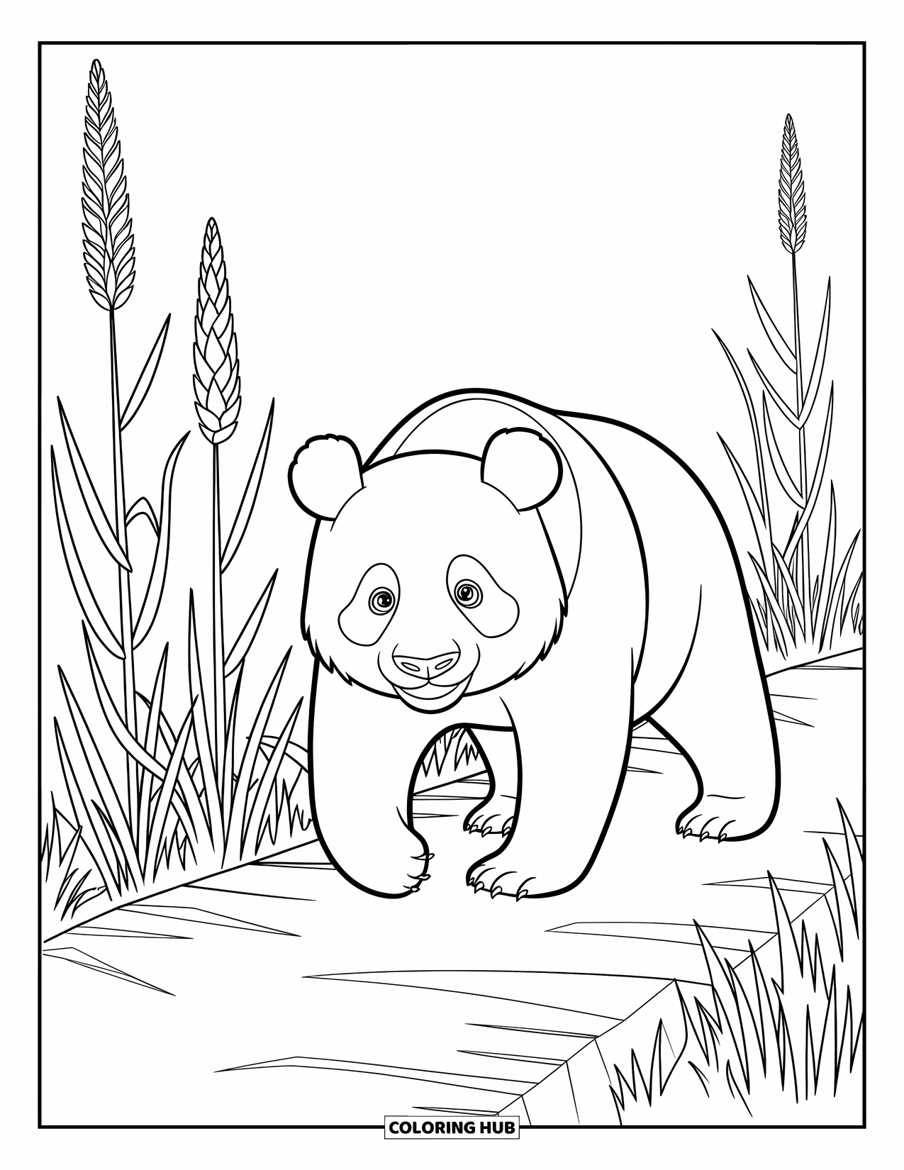 Disegno di panda da colorare per bambini: Un panda passeggia lungo uno stretto sentiero, incorniciato da un fogliame espressivo e un design moderno e coinvolgente