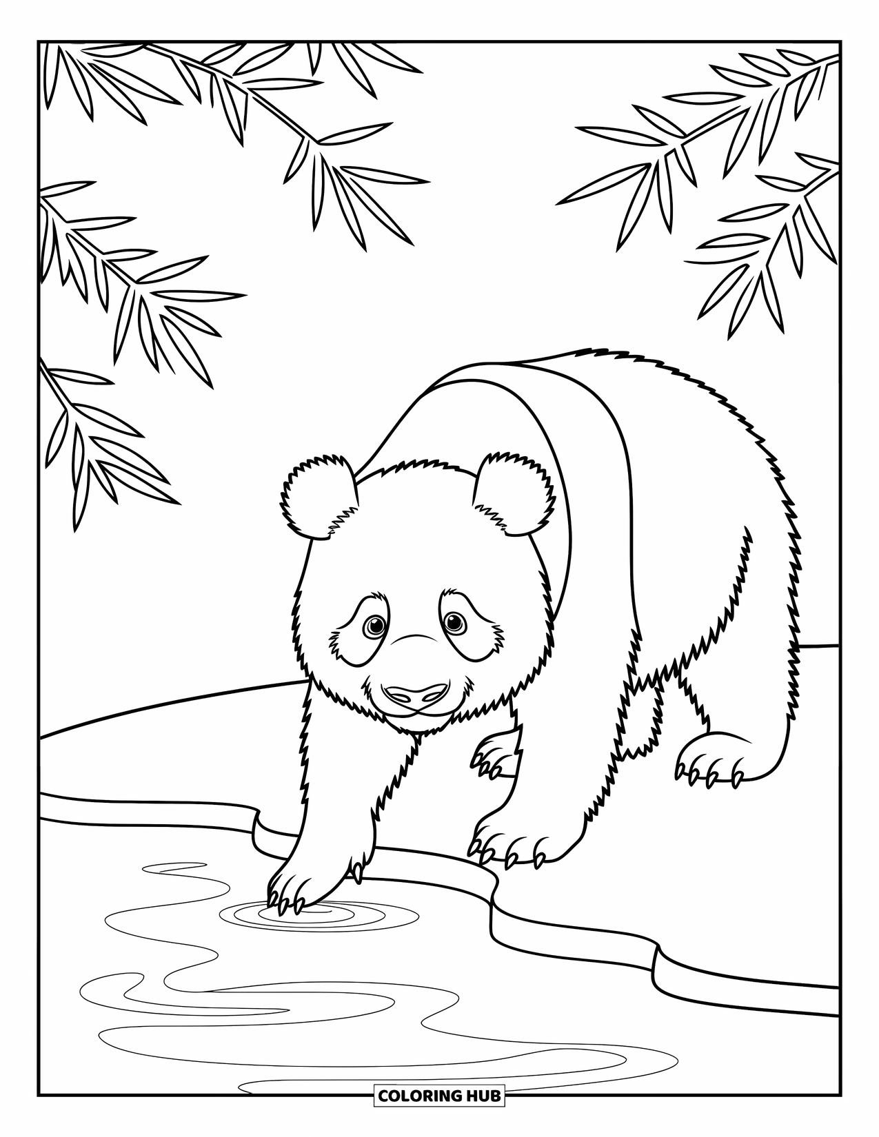 Disegno di panda da colorare per bambini: Un panda si sporge in uno stagno tranquillo, circondato da delicate canne e ninfee galleggianti