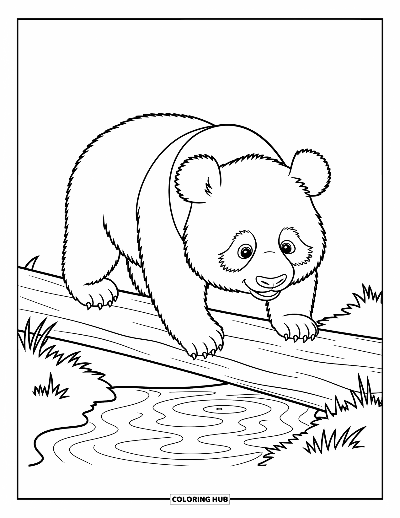 Disegno di un panda da colorare per bambini: Un panda cammina con cautela su un tronco, in equilibrio sopra un ruscello increspato con occhi spalancati e concentrati