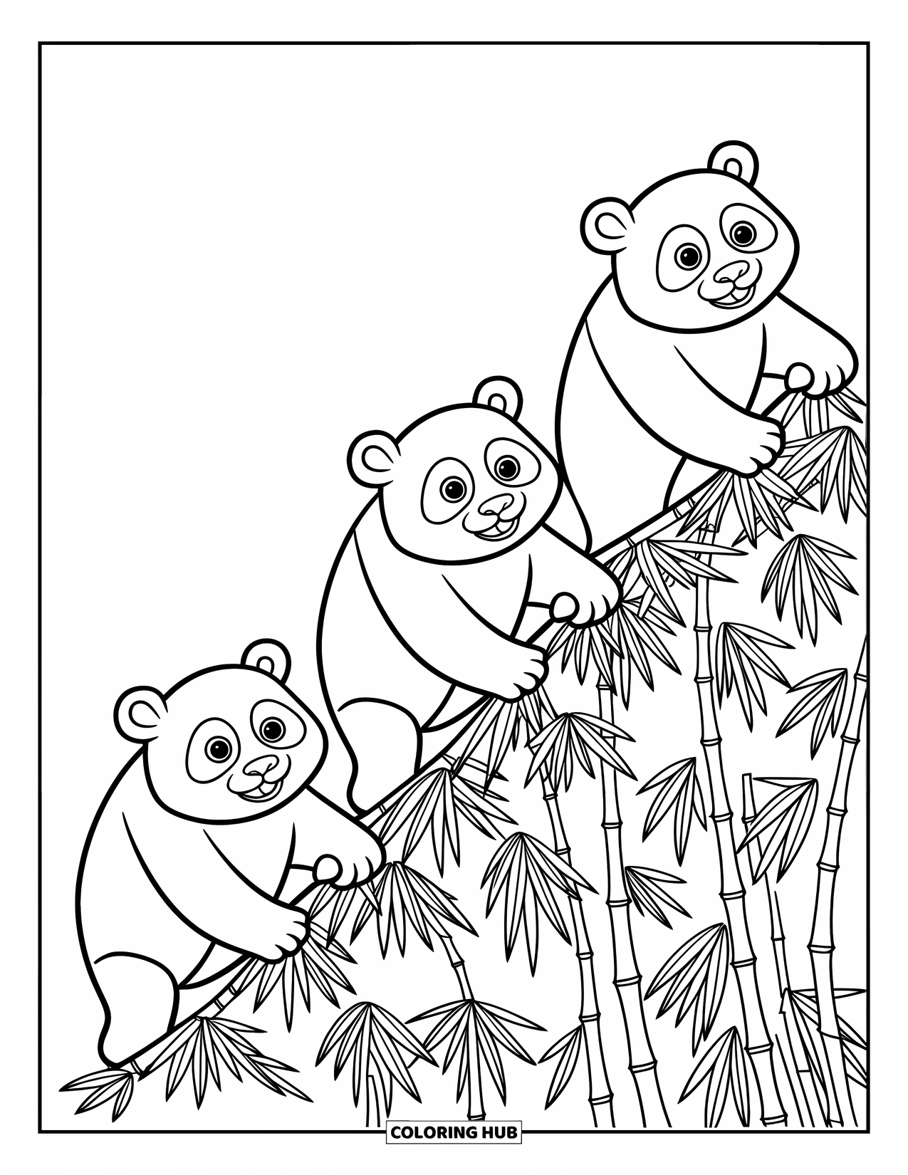 Disegno di un panda da colorare per bambini: Tre panda determinati scalano una collina ricoperta di bambù, i loro movimenti giocosi pieni di energia e concentrazione