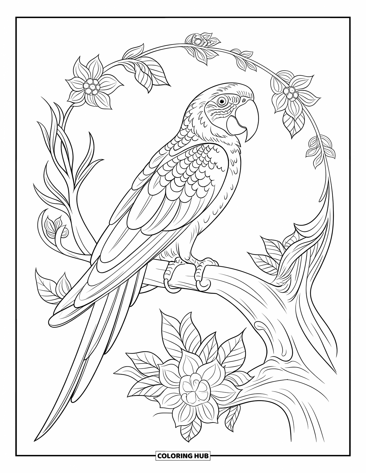 Dibujo para colorear de loro para adultos: Un loro muy detallado se posa en una rama de árbol ornamentada con patrones florales
