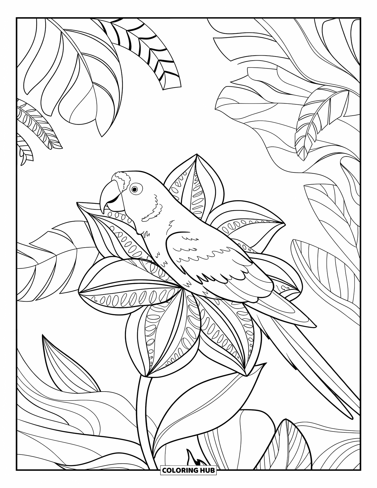 Dibujo para colorear de loro para adultos: Un loro se posa en una flor tropical estampada, rodeado de hojas de la selva