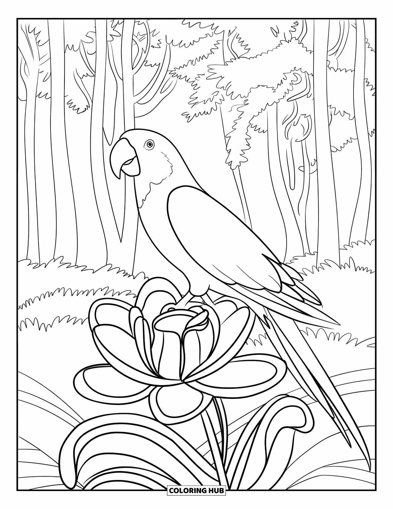 Dibujo para colorear de loro para adultos: Un loro descansa sobre una exótica flor tropical con hojas fluidas