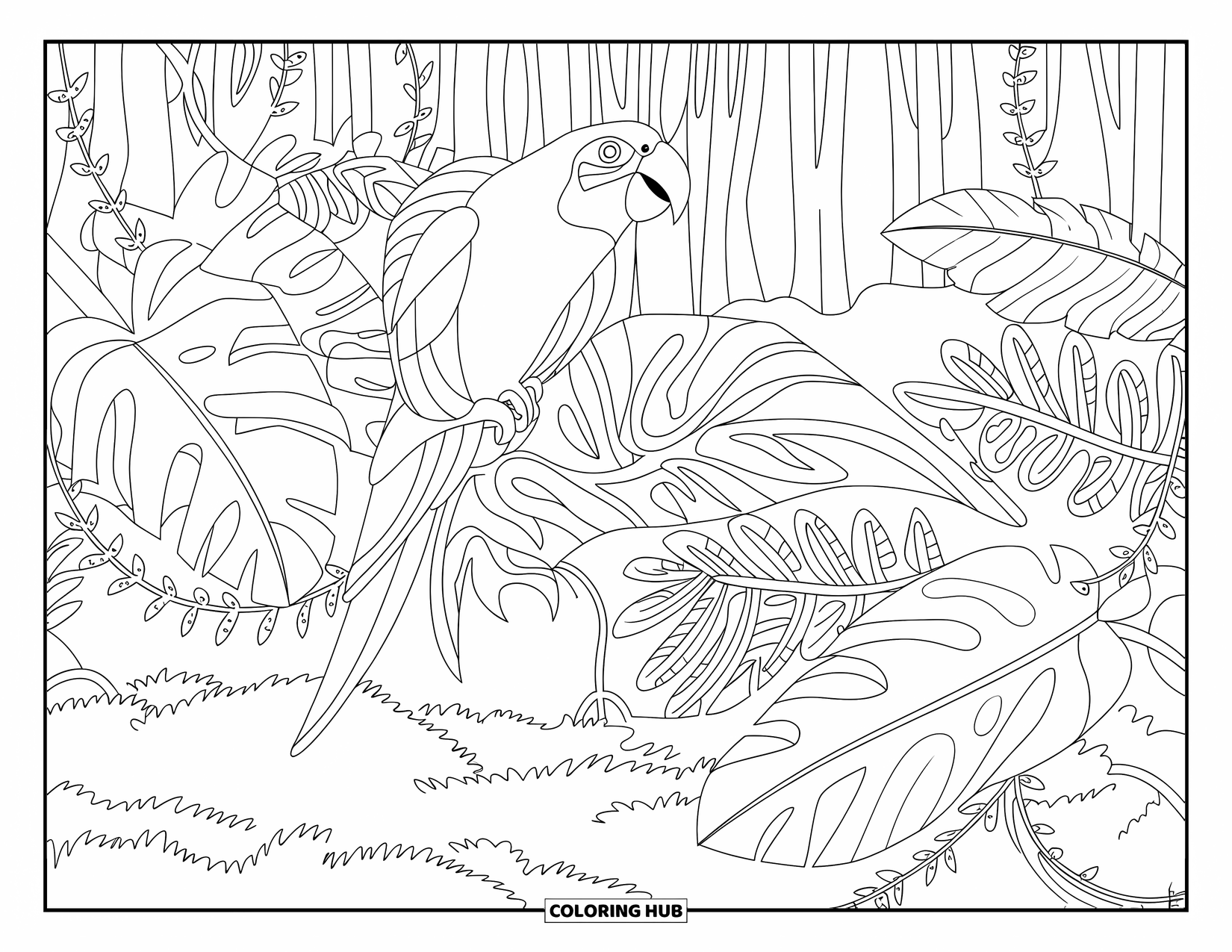 Dibujo para colorear de loro para adultos: Un loro se sienta en una rama en una selva tropical, rodeado de hojas estampadas