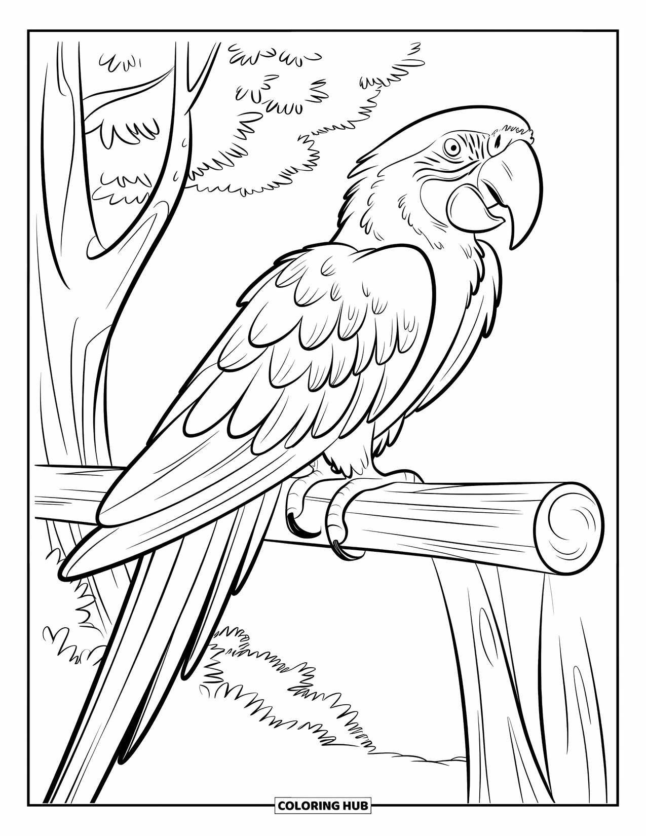 Dibujo de loro para colorear para niños: Un guacamayo con una cola larga se posa cerca de un árbol alto