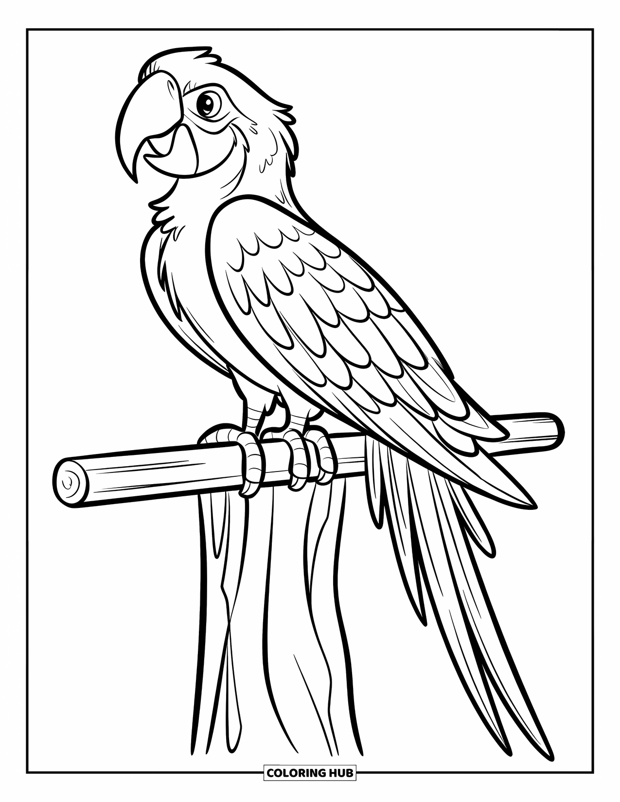 Dibujo de loro para colorear para niños: Un guacamayo con una cola larga se sienta en una percha contra un fondo blanco