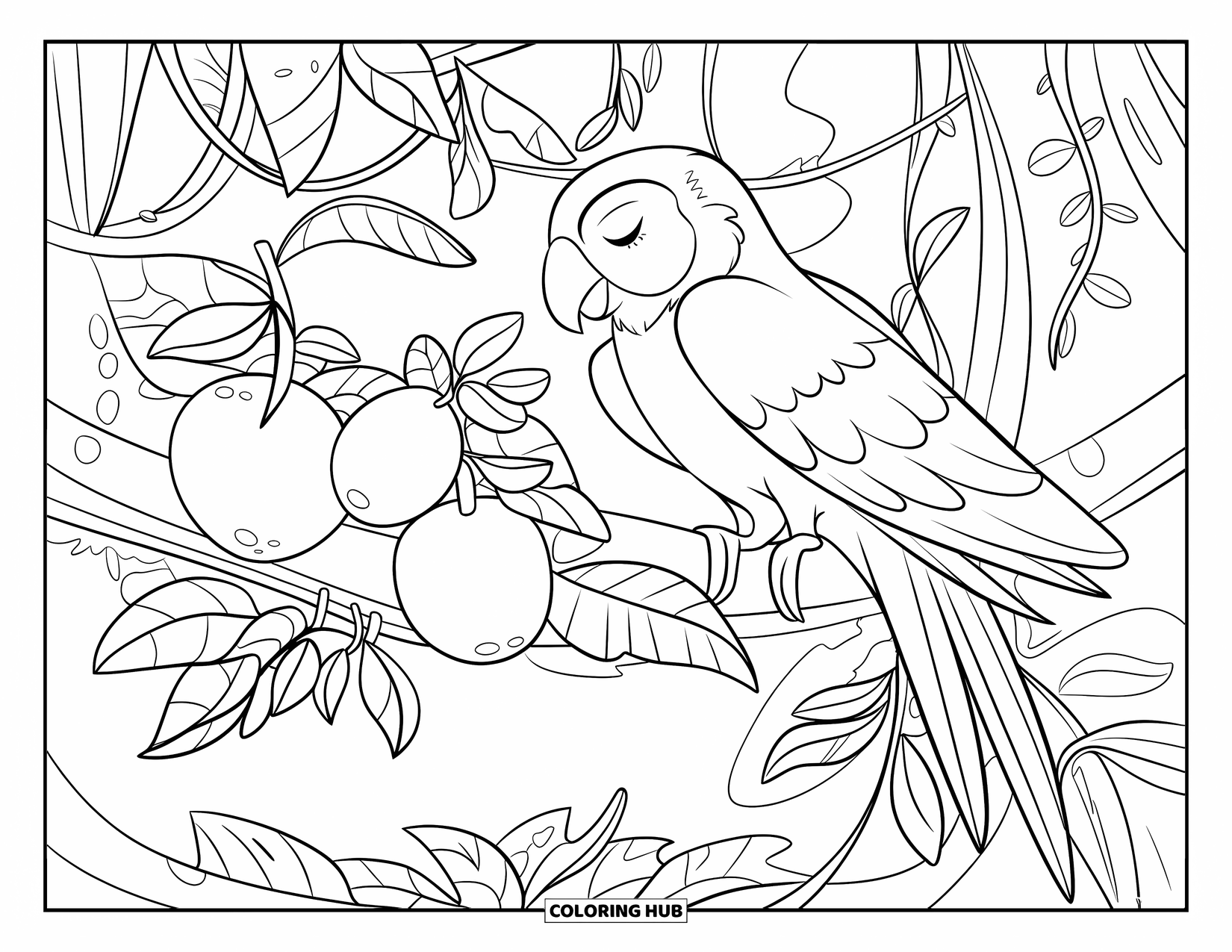 Dibujo de loro para colorear para niños: Un loro descansa en una rama, rodeado de enredaderas y frutas colgantes