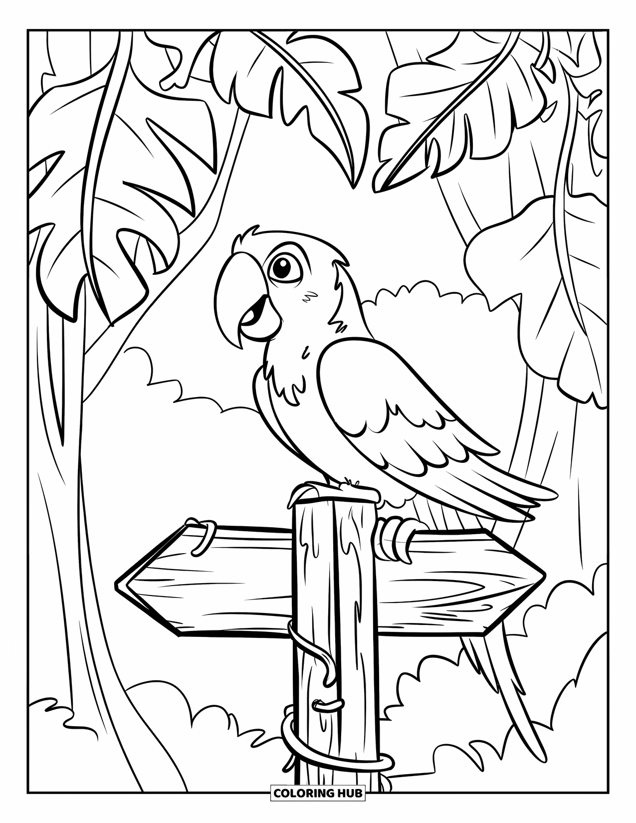Dibujo de loro para colorear para niños: Un loro con un pico naranja brillante se sienta en un letrero de madera de la selva tropical