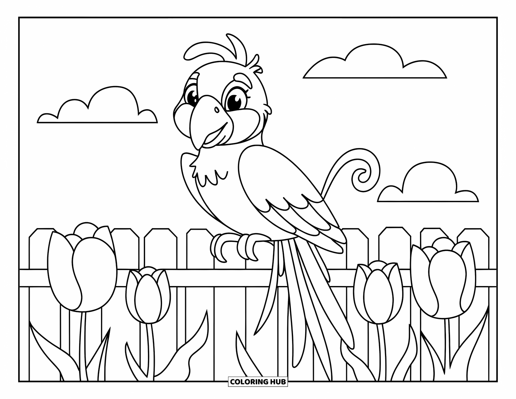 Dibujo de loro para colorear para niños: Un loro con un pico naranja se sienta en una cerca cerca de tulipanes florecientes
