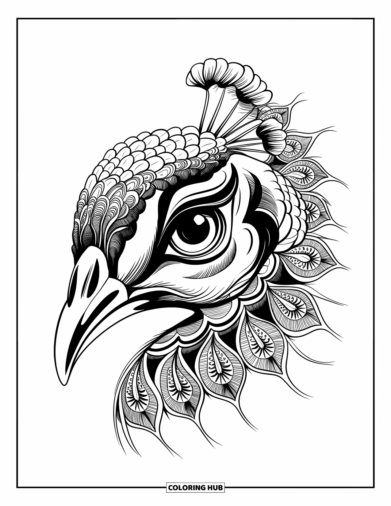 Disegno da colorare di un pavone per adulti: Un primo piano dell'occhio di un pavone rivela intricati motivi mandala