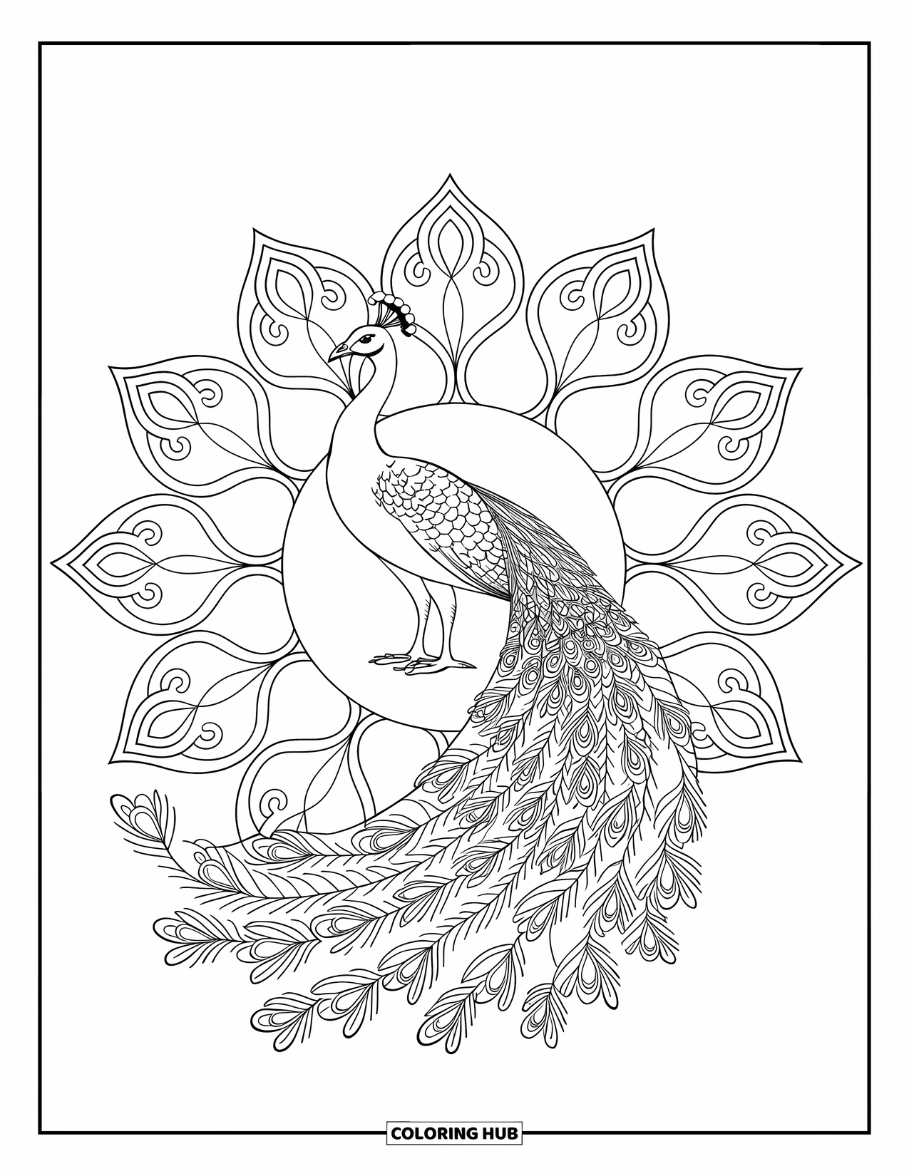 Disegno da colorare di un pavone per adulti: Un pavone al centro di un mandala con motivi floreali vorticosi