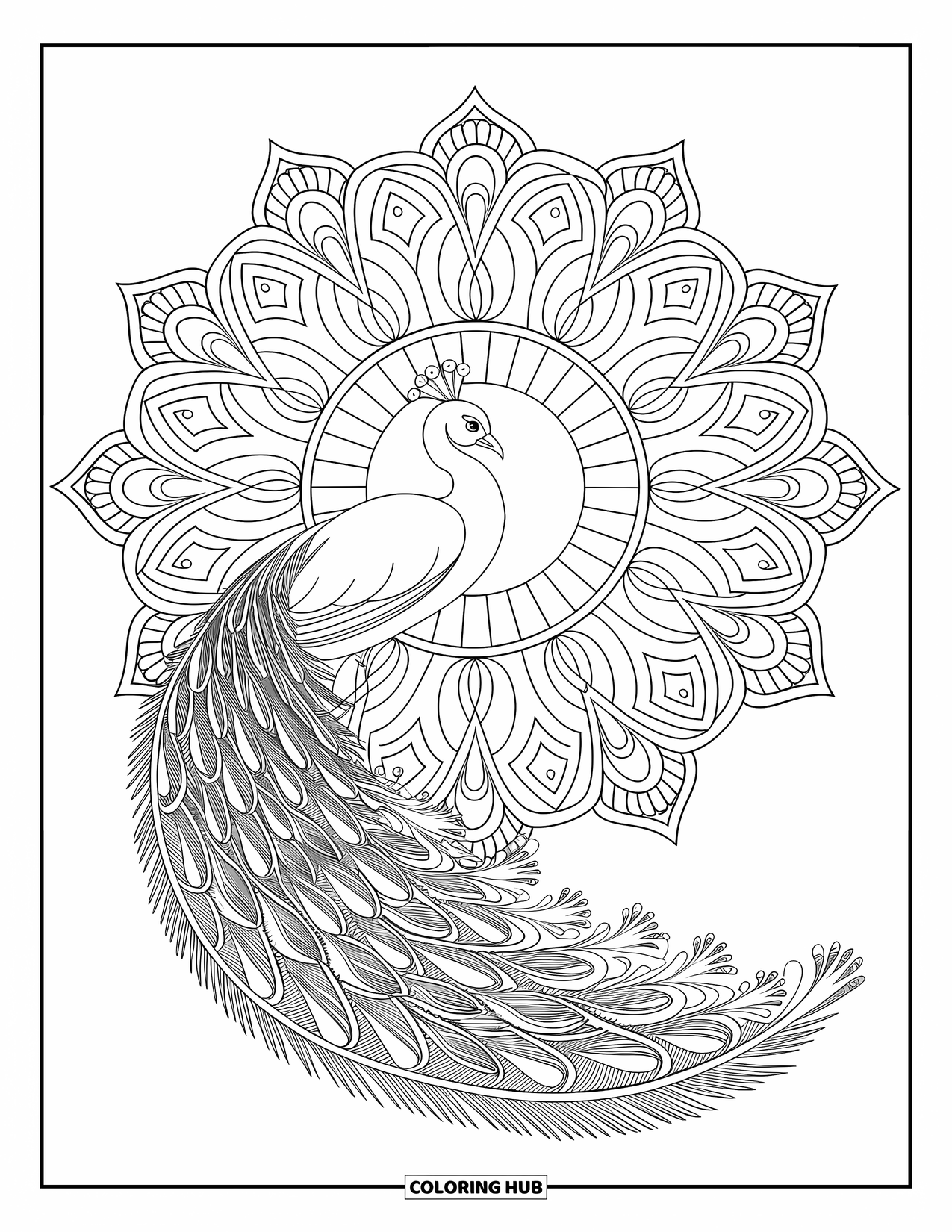 Disegno da colorare di un pavone per adulti: Un pavone si erge al centro di un mandala con motivi floreali