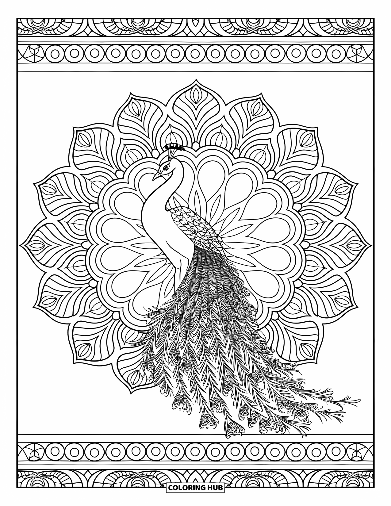 Disegno da colorare di un pavone per adulti: Un pavone si erge con grazia in un mandala con disegni floreali e geometrici