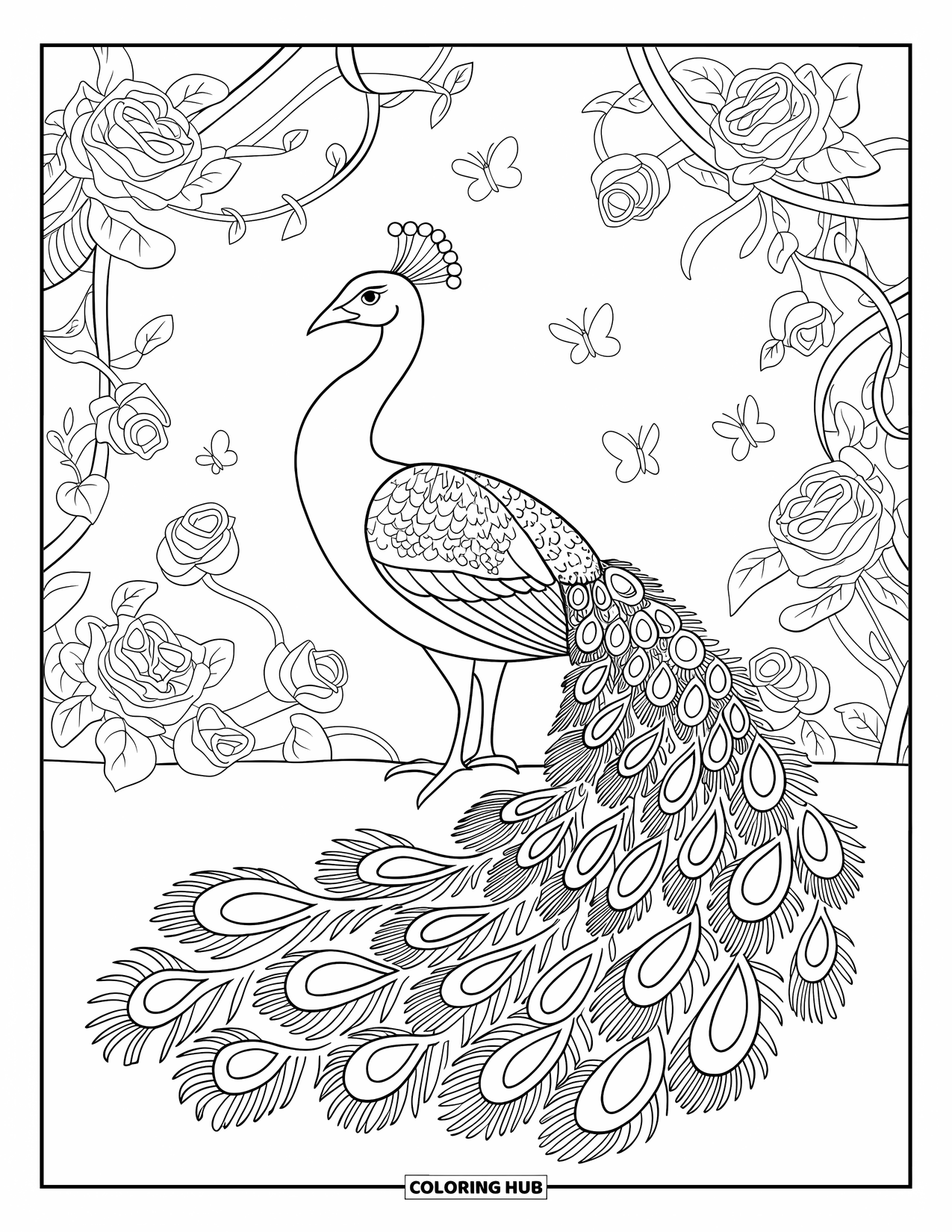 Disegno da colorare di un pavone per adulti: Un pavone si erge in un giardino con rose, viti e spirali sulle sue piume