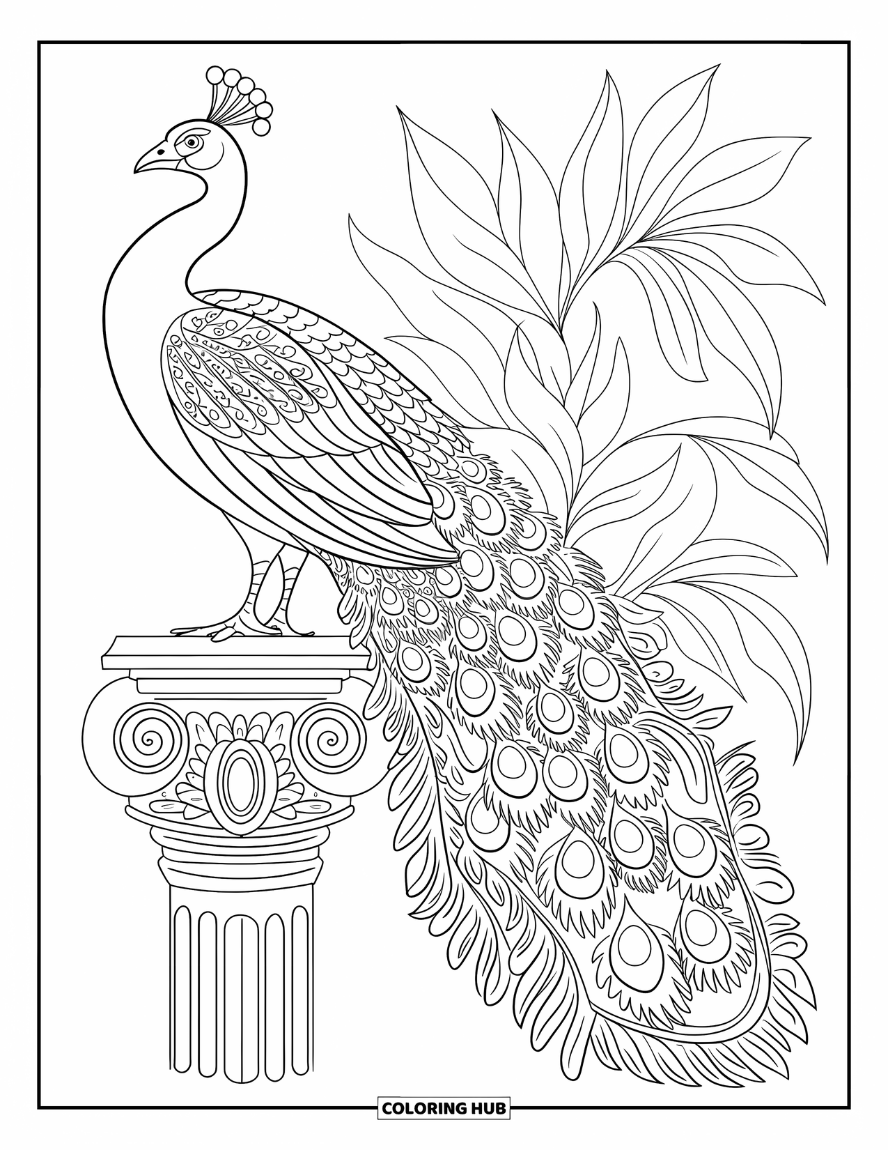 Disegno da colorare di un pavone per adulti: Un pavone si erge su un pilastro con la sua coda che cade a cascata come acqua
