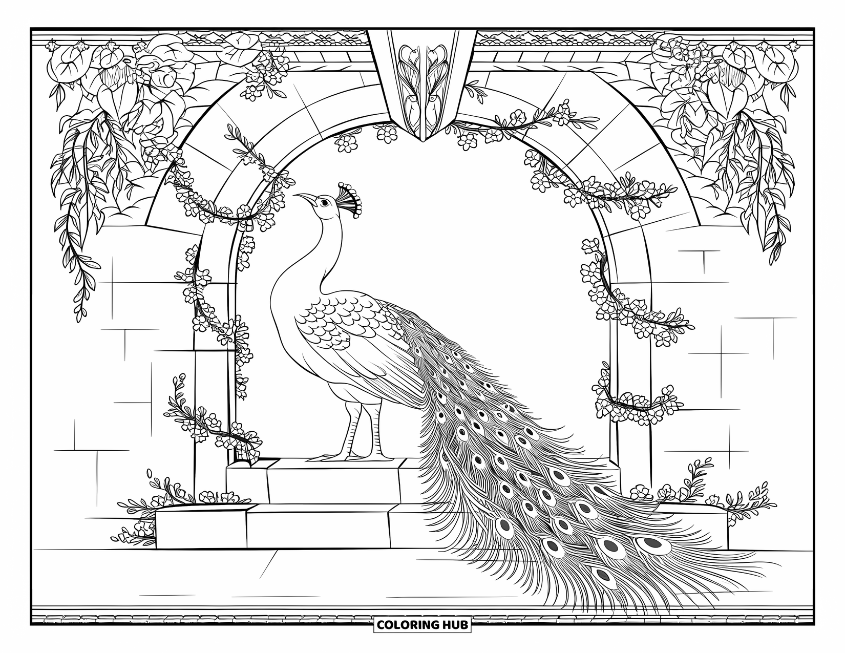 Disegno da colorare di un pavone per adulti: Un pavone si erge sotto un portale ad arco con la sua coda come un delicato merletto