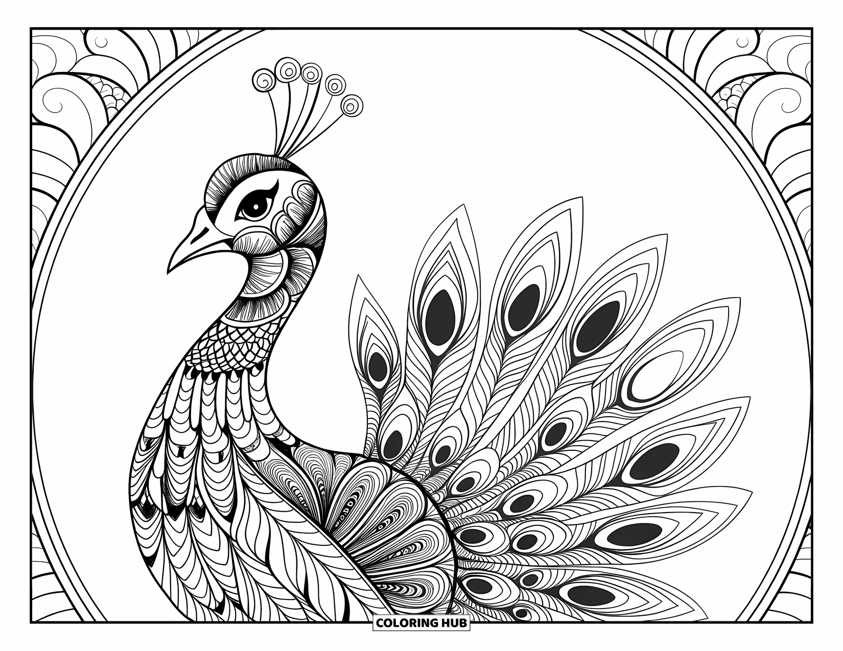 Disegno da colorare di un pavone per adulti: Un pavone con motivi zentangle sulle sue piume si erge in una scena decorativa