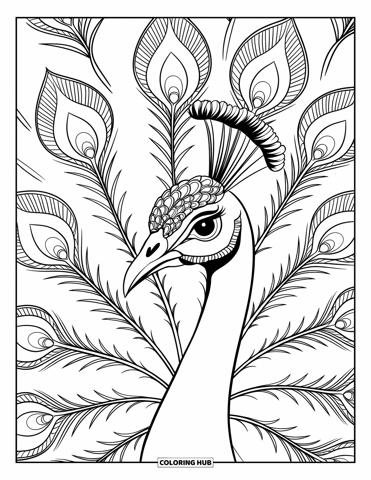 Disegno da colorare di un pavone per adulti: L'occhio di un pavone è circondato da piume con motivi ispirati al mandala