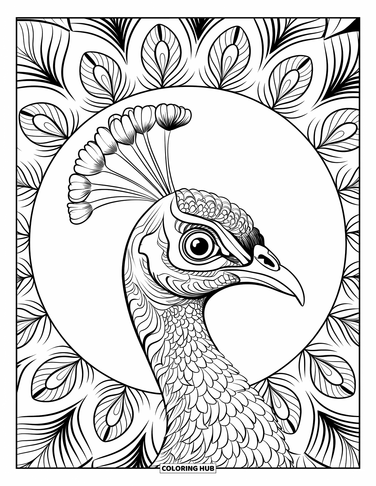 Disegno da colorare di un pavone per adulti: La faccia di un pavone ha piume dettagliate con motivi ornamentali e mandala