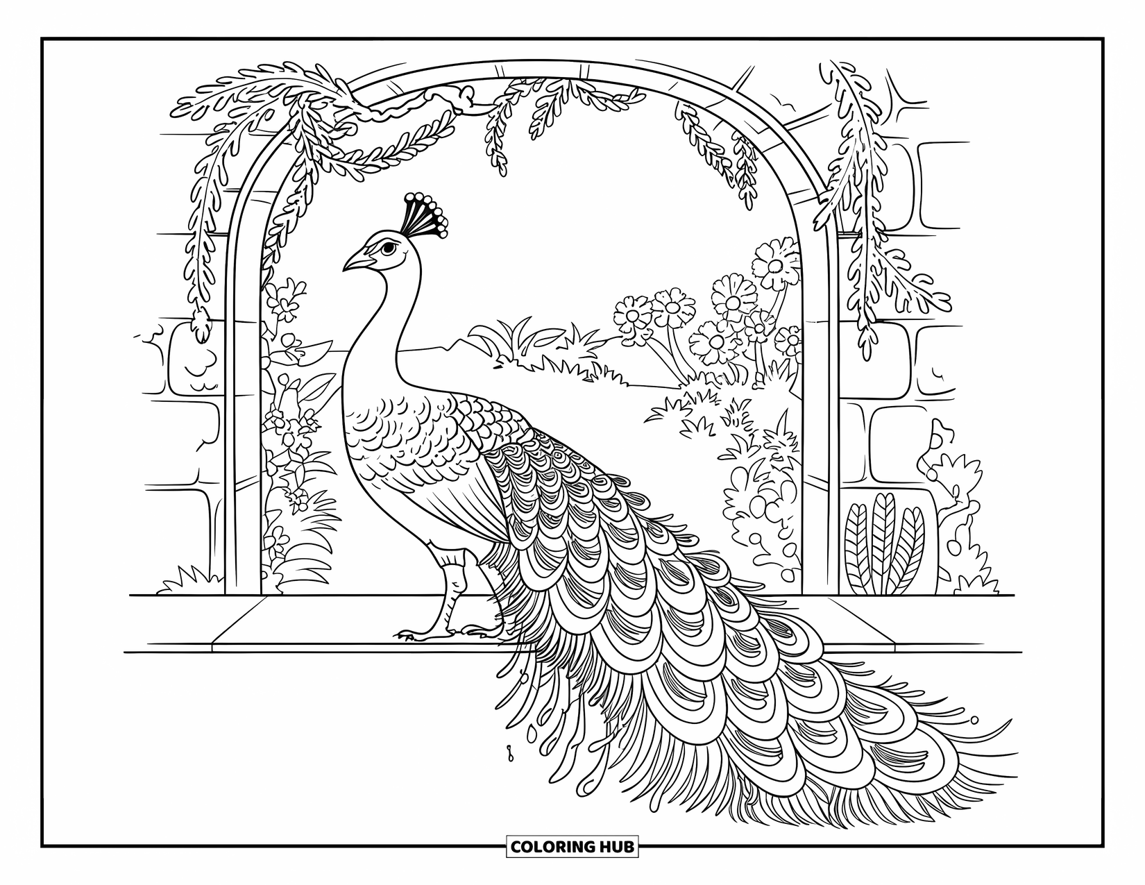 Disegno da colorare di un pavone per adulti: La coda di un pavone simile a un merletto si drappeggia sotto un portale di pietra ricoperto di fiori
