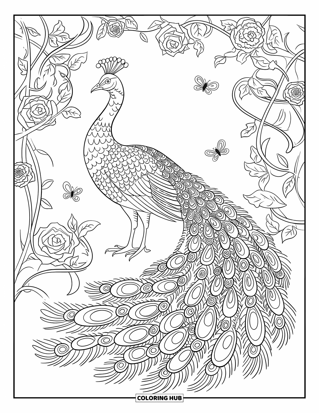Disegno da colorare di un pavone per adulti: La coda di un pavone mostra spirali e motivi in un giardino fiorito