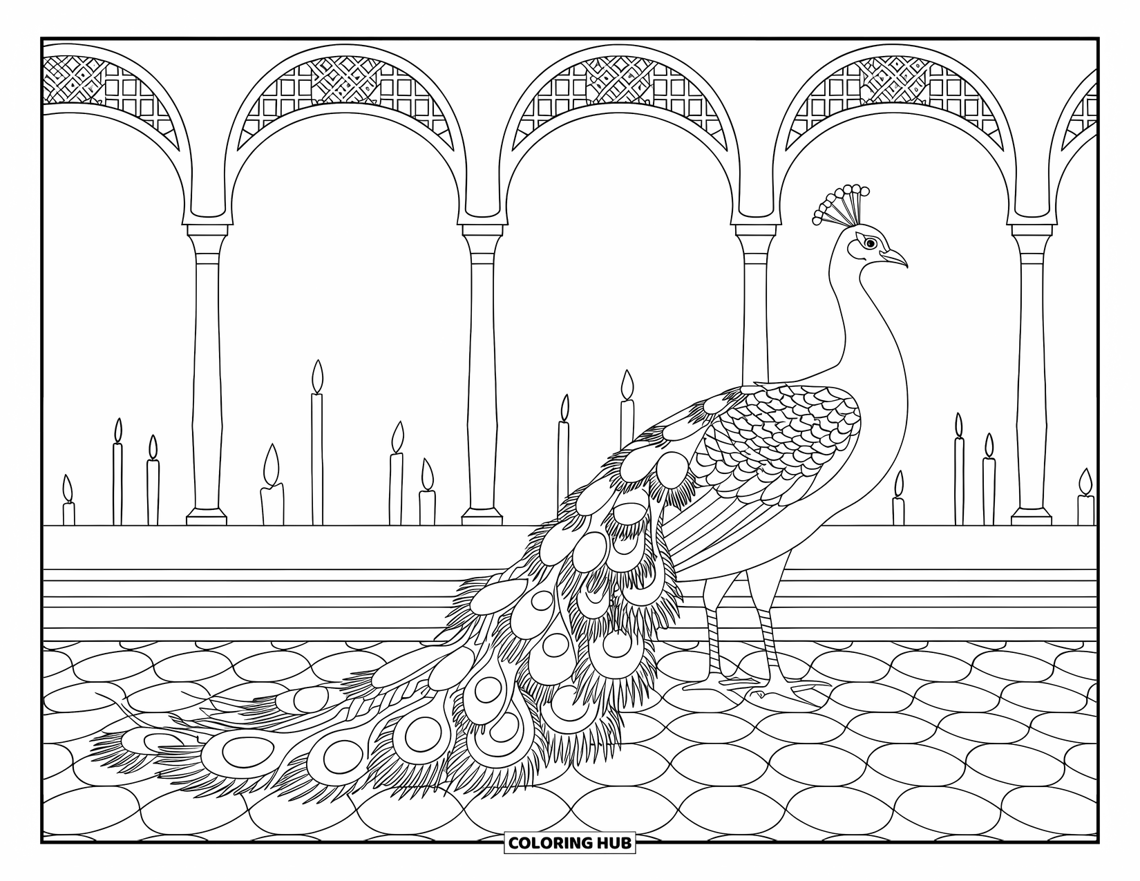 Disegno da colorare di un pavone per adulti: La coda di un pavone si drappeggia su un pavimento piastrellato in un grande cortile