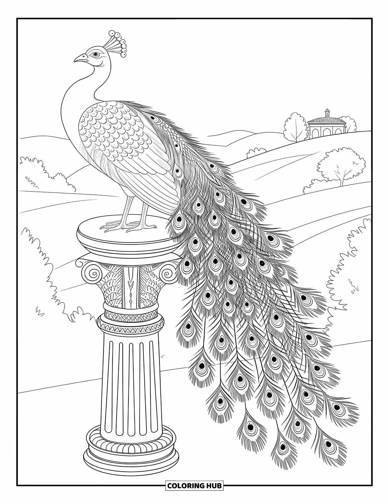 Disegno da colorare di un pavone per adulti: La coda di un pavone scorre come acqua su un pilastro di pietra scolpita