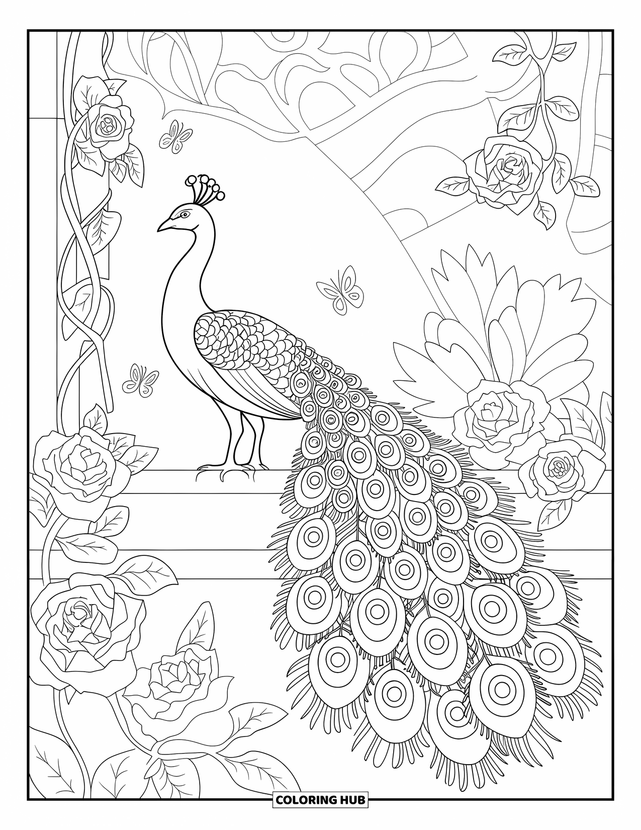 Disegno da colorare di un pavone per adulti: La coda di un pavone ha motivi paisley in un giardino con farfalle