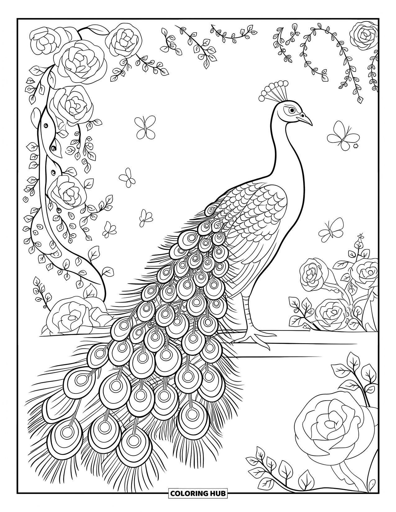 Disegno da colorare di un pavone per adulti: La coda di un pavone ha spirali e motivi in un giardino con rose e viti