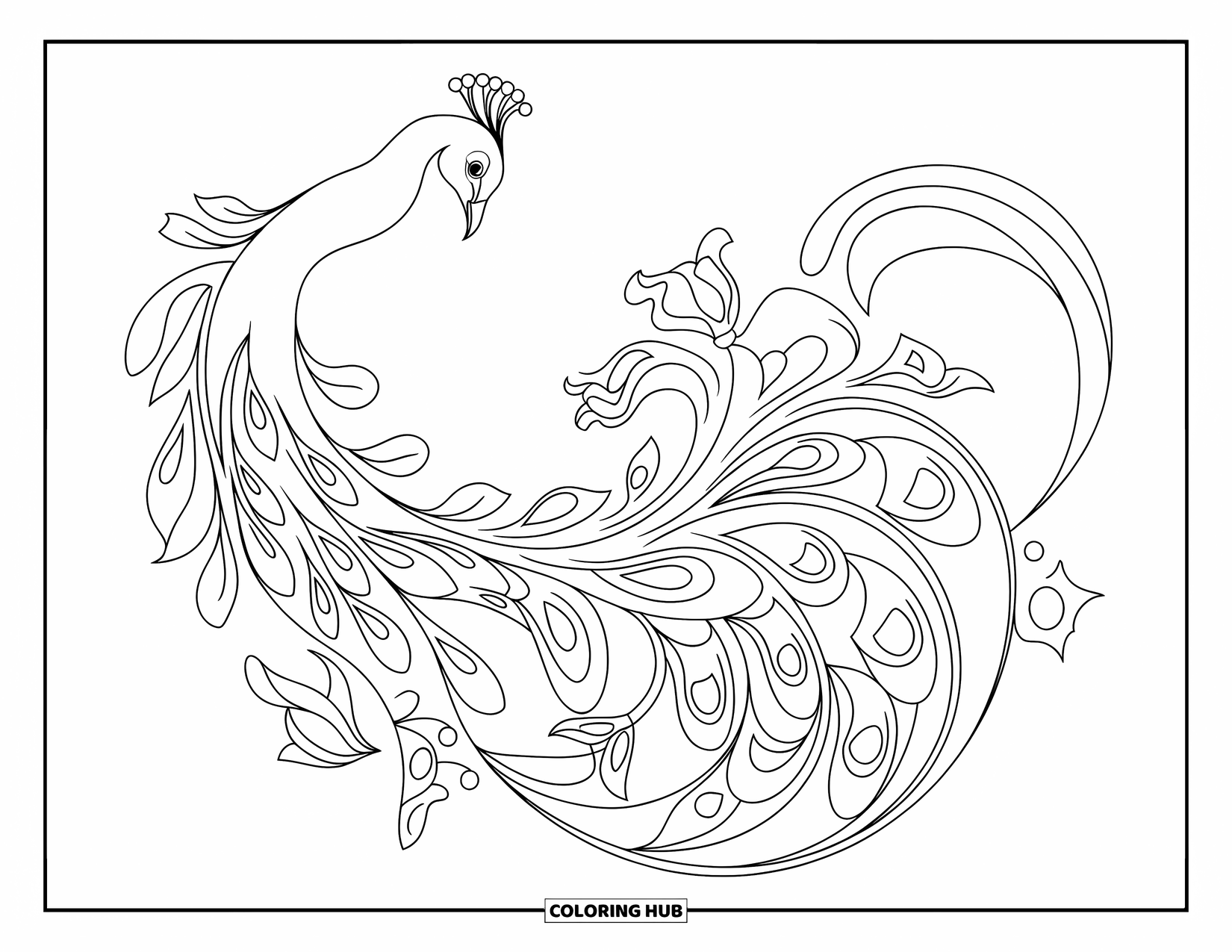 Disegno da colorare di un pavone per adulti: La coda di un pavone si fonde con curve e fiori in un design Art Nouveau