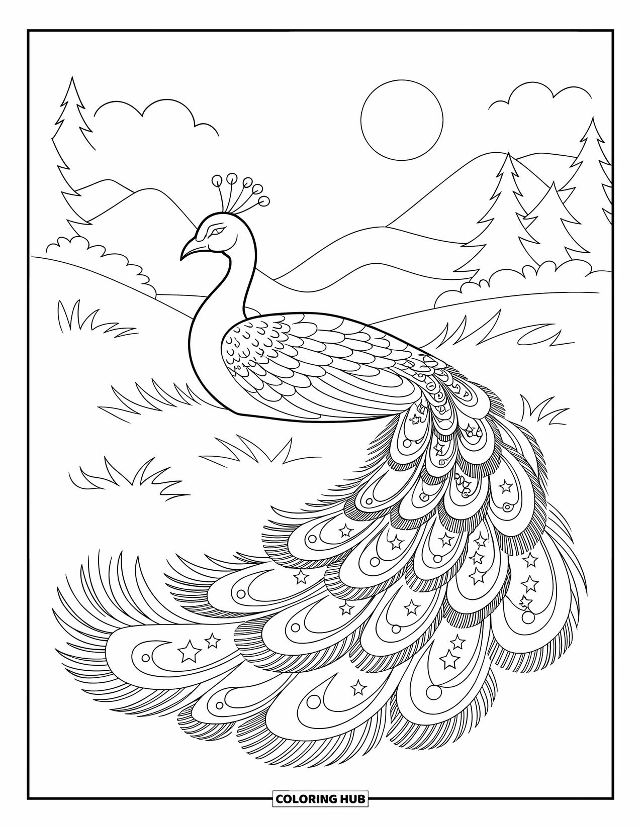 Disegno da colorare di un pavone per adulti: La coda di un pavone si diffonde in un prato con stelle e spirali