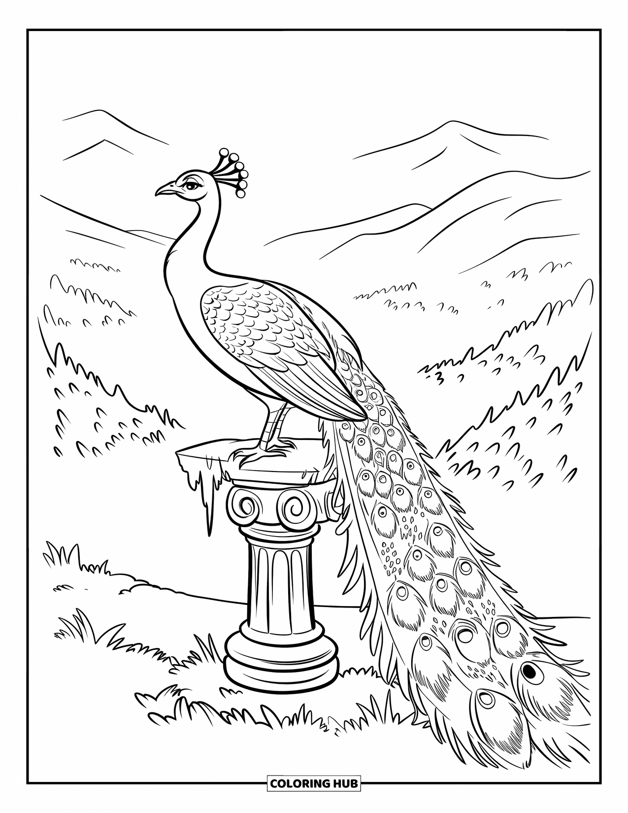 Disegno di pavone da colorare per bambini: Un pavone maestoso si appollaia su un piedistallo di pietra, affacciato su una valle nebbiosa