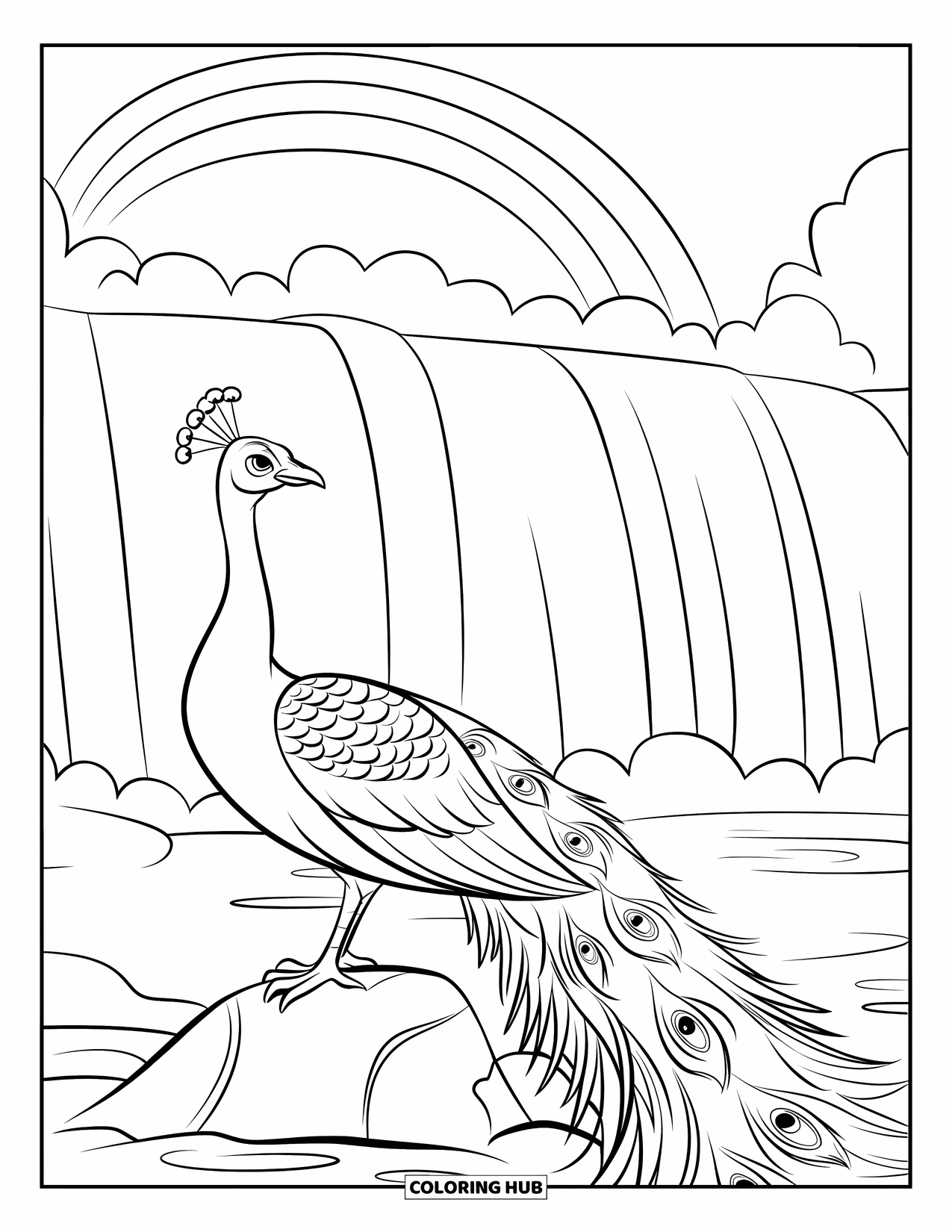 Disegno di pavone da colorare per bambini: Un pavone si equilibra vicino a una cascata, le sue piume leggermente arruffate dalla nebbia
