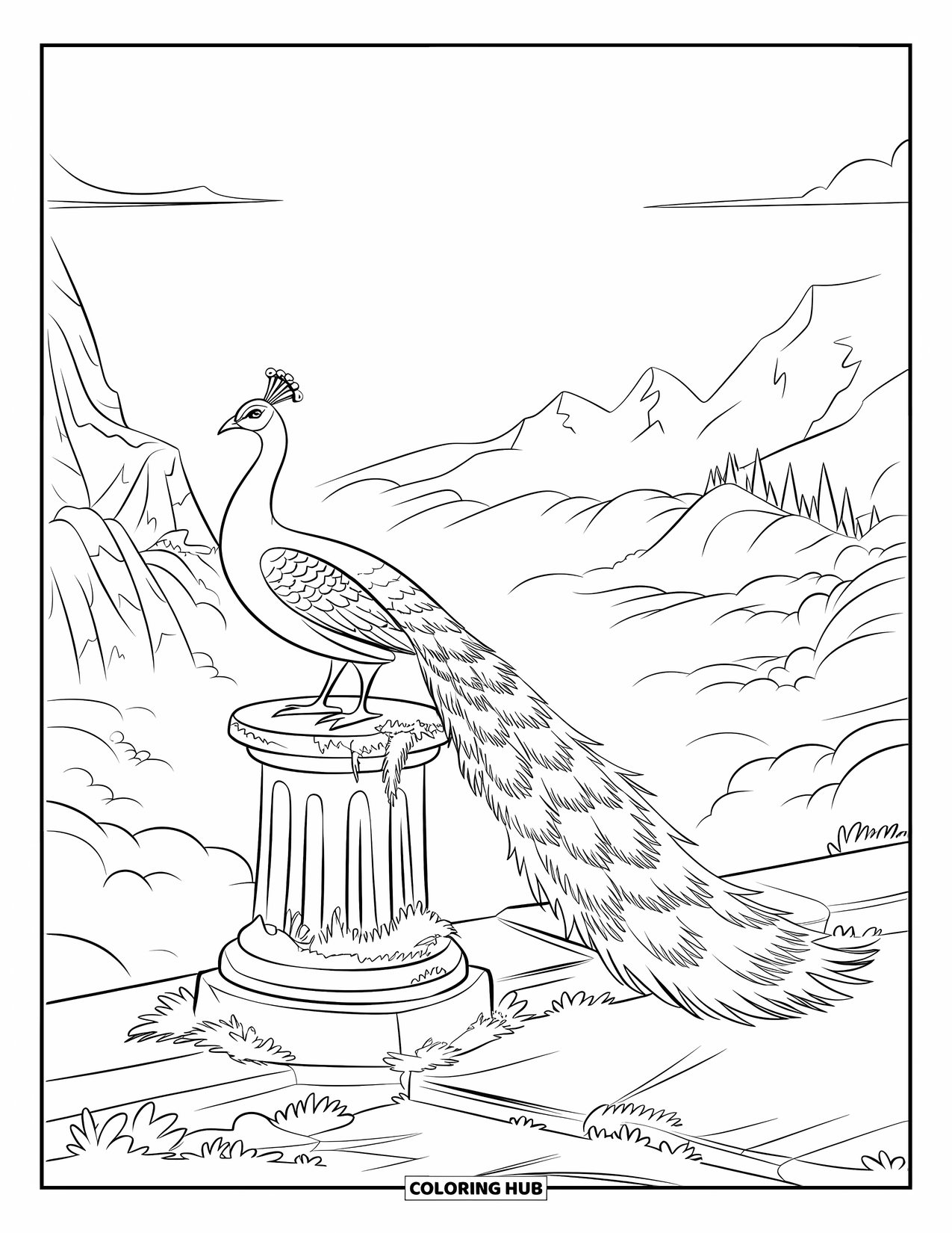 Disegno di pavone da colorare per bambini: Un pavone si appollaia su un piedistallo muschioso, fissando le montagne nebbiose