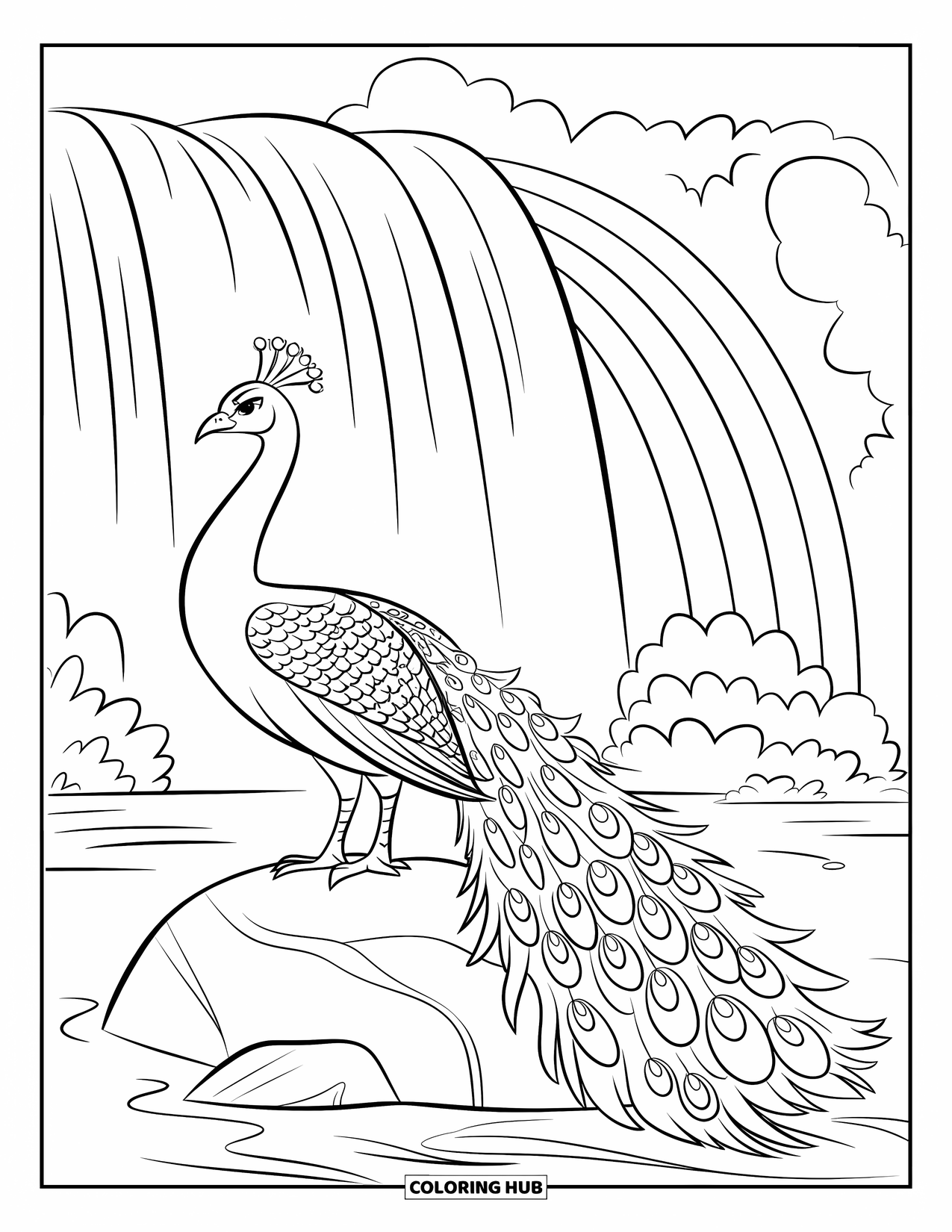 Disegno di pavone da colorare per bambini: Un pavone si appollaia su una roccia vicino a una cascata, la nebbia gli arruffa le piume