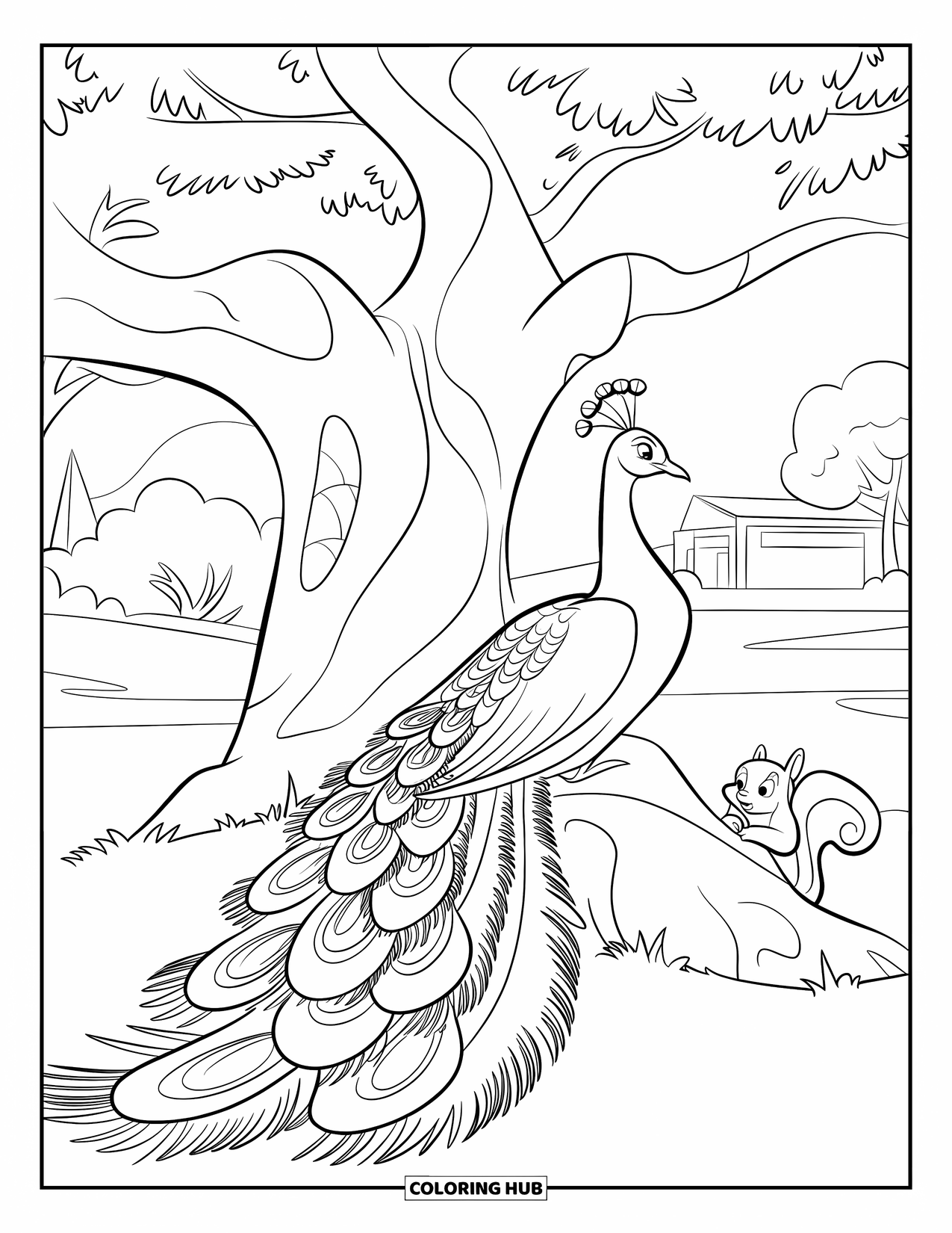 Disegno di pavone da colorare per bambini: Un pavone si rilassa sotto un albero con la coda a ventaglio, uno scoiattolo nelle vicinanze