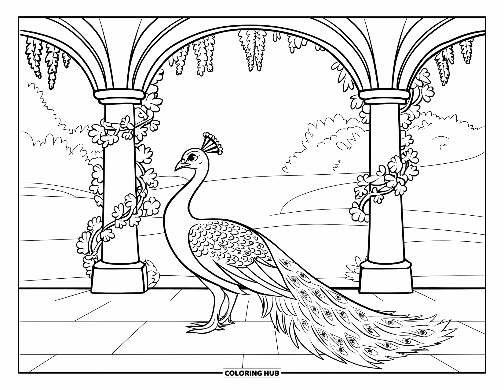 Disegno di pavone da colorare per bambini: Un pavone si erge sotto un arco ricoperto di viti e fiori