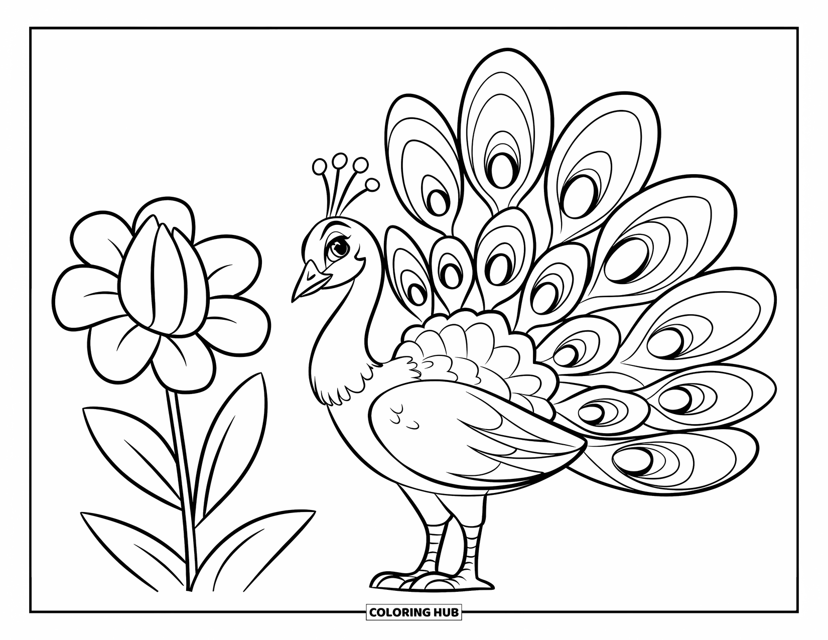 Disegno di pavone da colorare per bambini: Un pavone si erge accanto a un grande fiore, mostrando alcune grandi piume