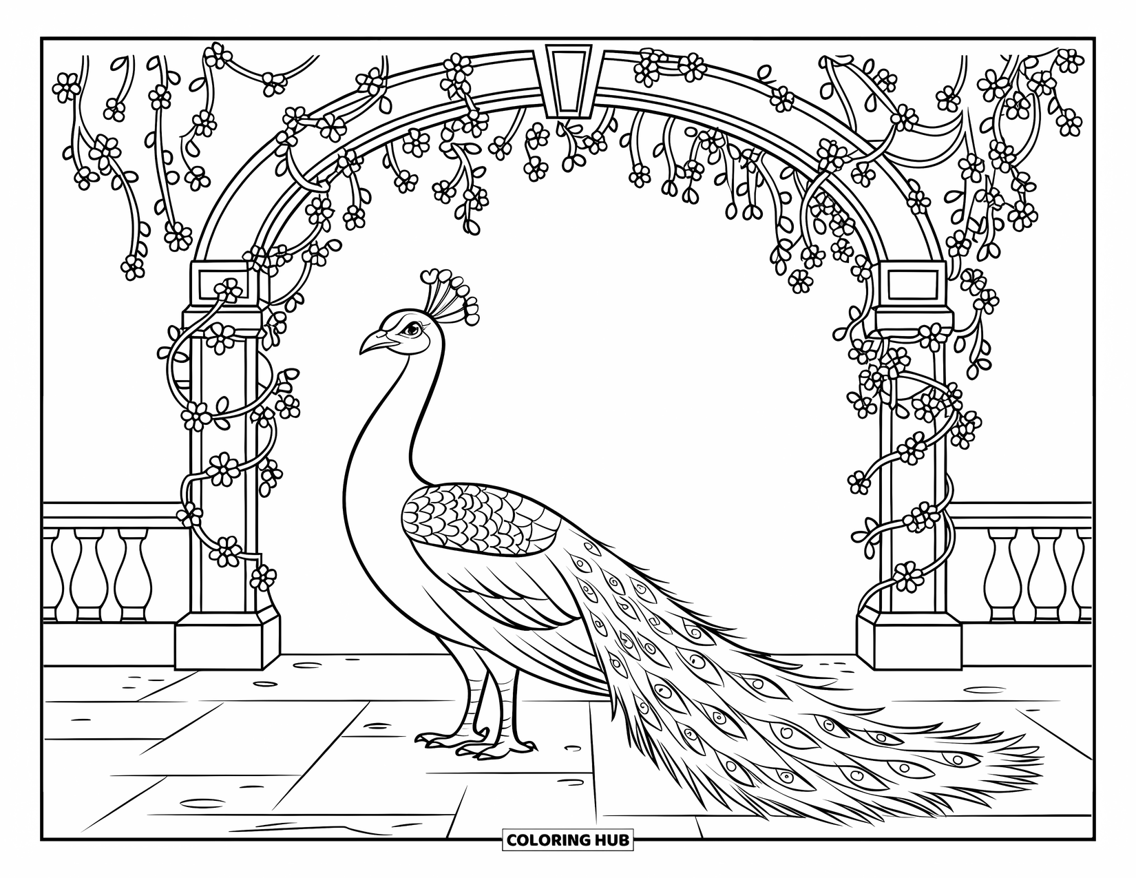 Disegno di pavone da colorare per bambini: Un pavone si erge elegantemente sotto un arco ricoperto di viti