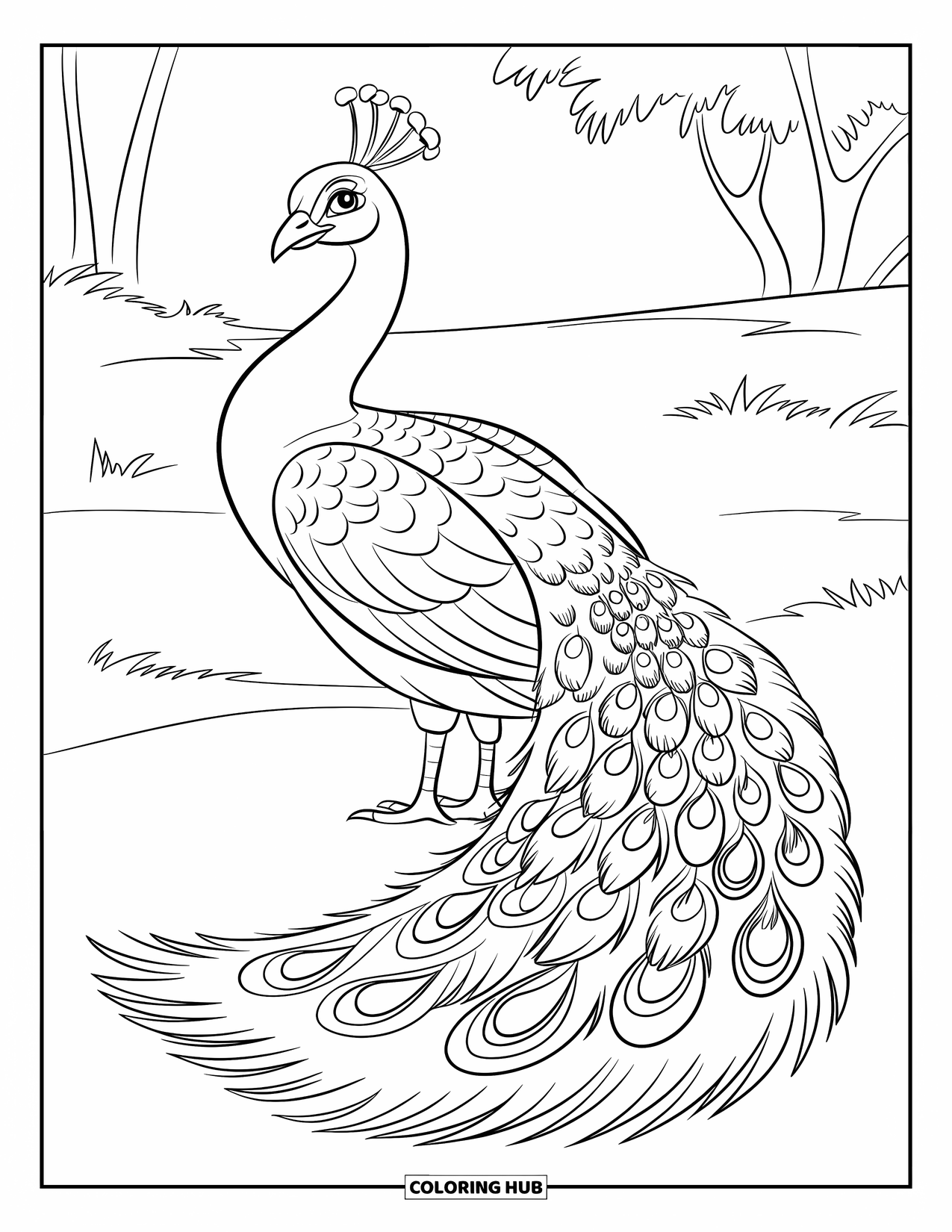 Disegno di pavone da colorare per bambini: Un pavone si erge su un campo con solo alcune punte di piume in mostra