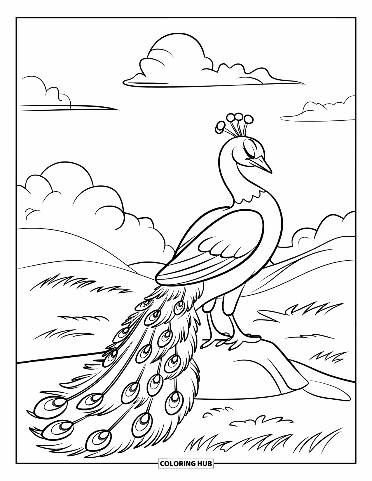 Disegno di pavone da colorare per bambini: Un pavone si erge su una roccia con la coda abbassata e gli occhi chiusi