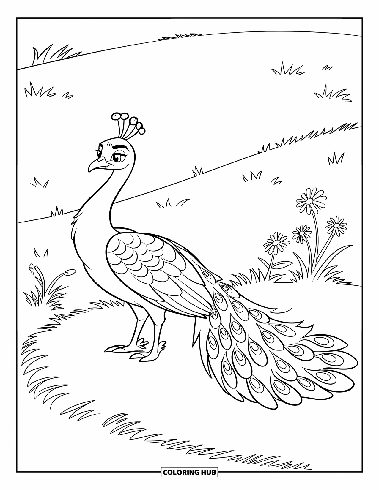 Disegno di pavone da colorare per bambini: Un pavone si erge orgogliosamente su una collina, con la coda a ventaglio e fiori di campo intorno