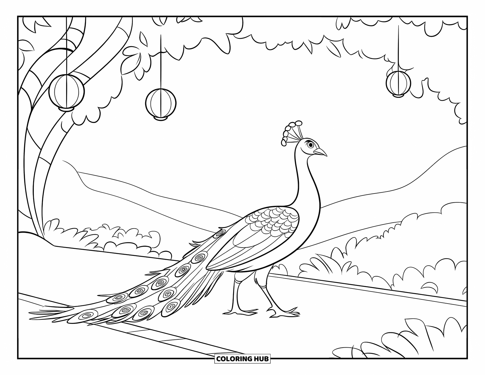 Disegno di pavone da colorare per bambini: Un pavone passeggia lungo un sentiero del giardino, lanterne che brillano sopra la testa