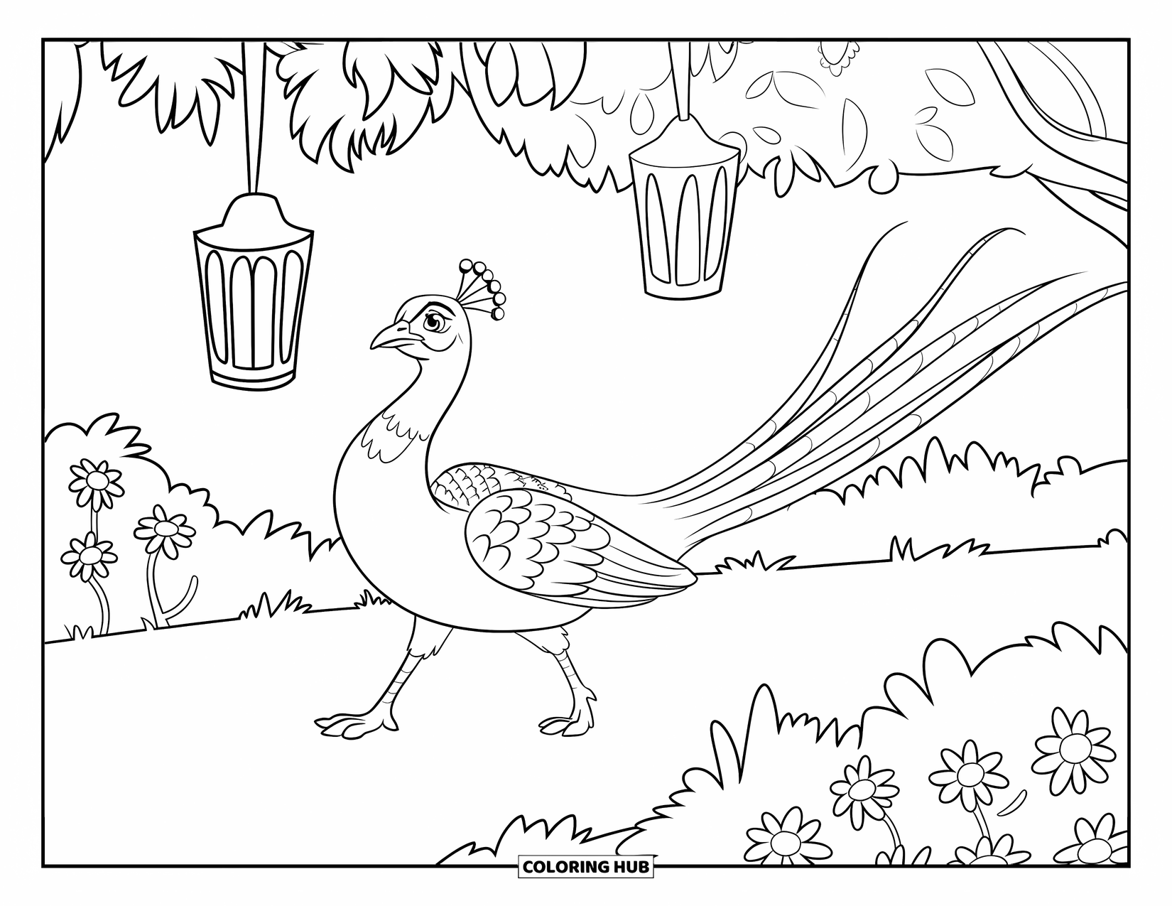 Disegno di pavone da colorare per bambini: Un pavone passeggia sotto le lanterne su un sentiero del giardino