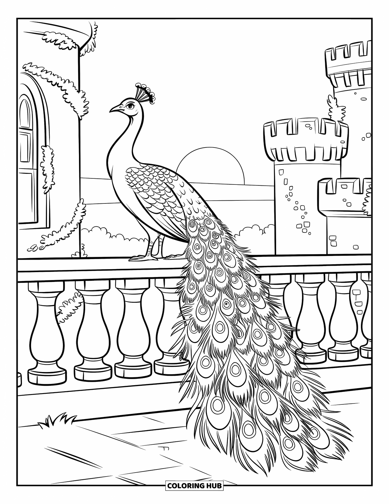 Disegno di pavone da colorare per bambini: Un pavone con una coda intricata si erge con grazia su un balcone ricoperto di edera